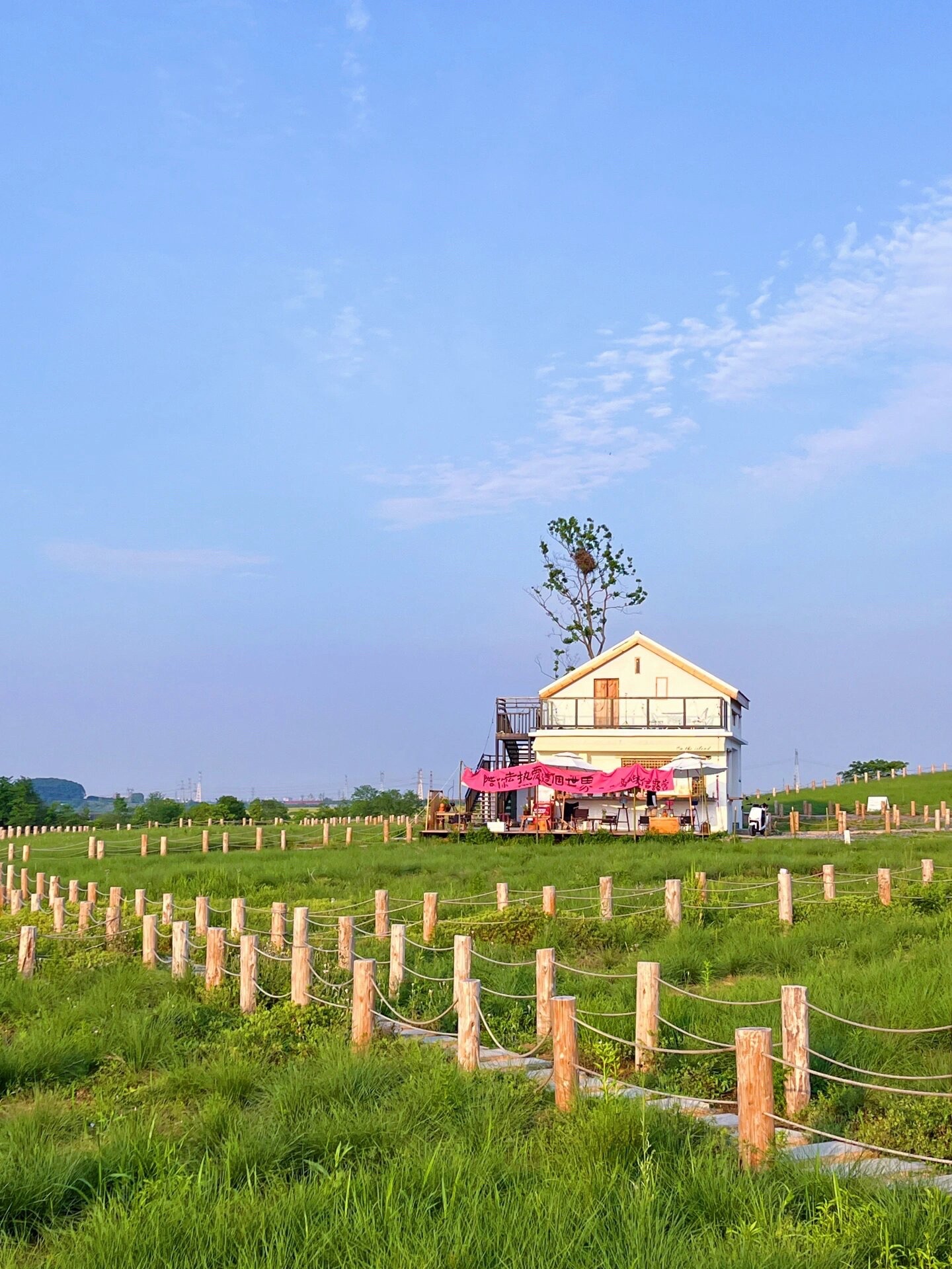 蜀山区小岭南花海旅行图片 1