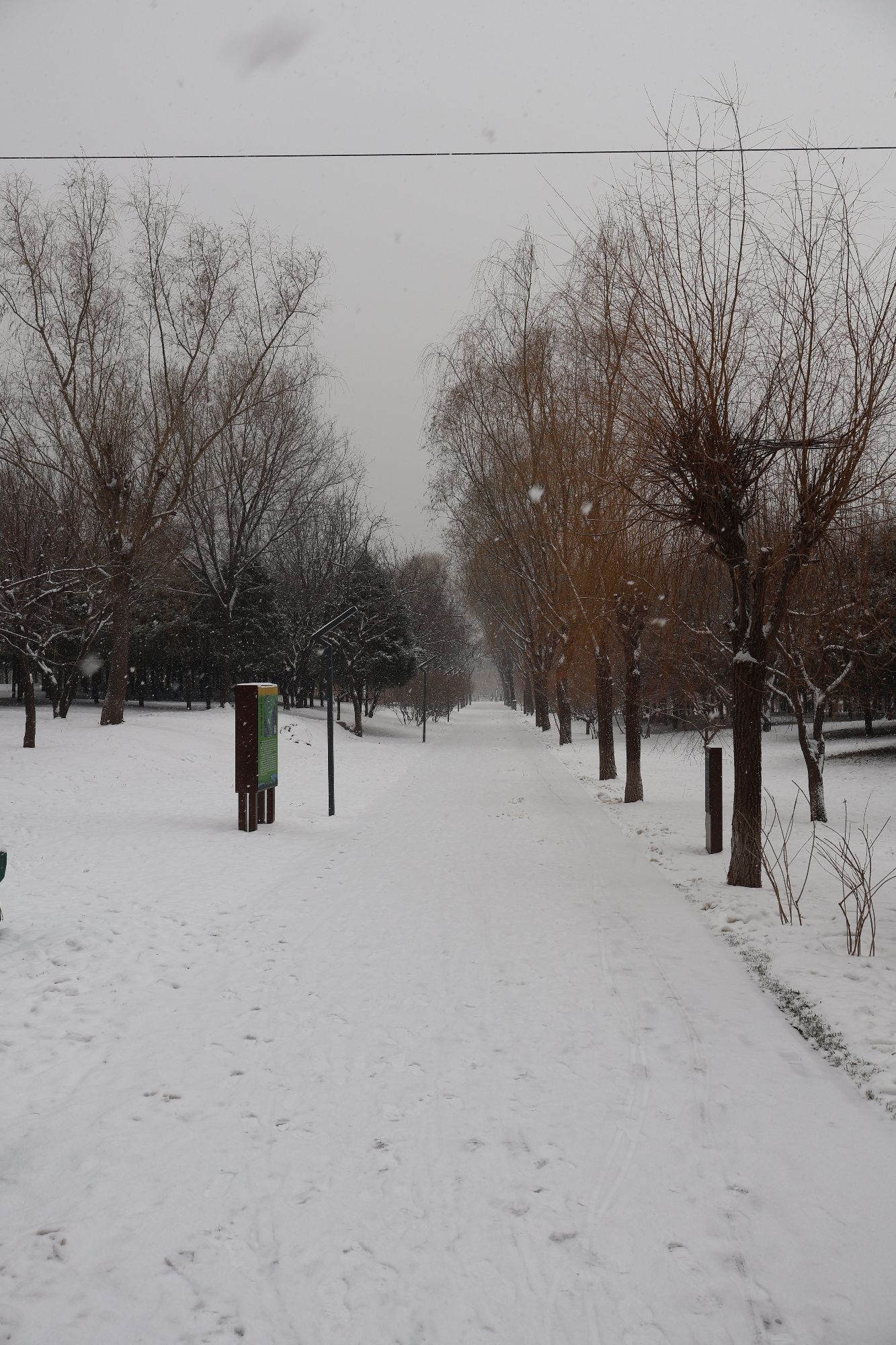 北京东升花园中心旅行图片 1