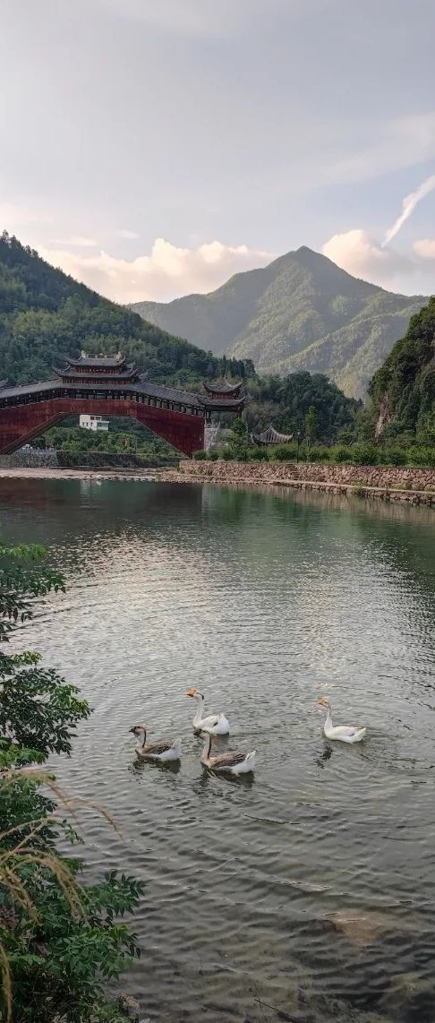 黄岩山廊桥旅行图片 3