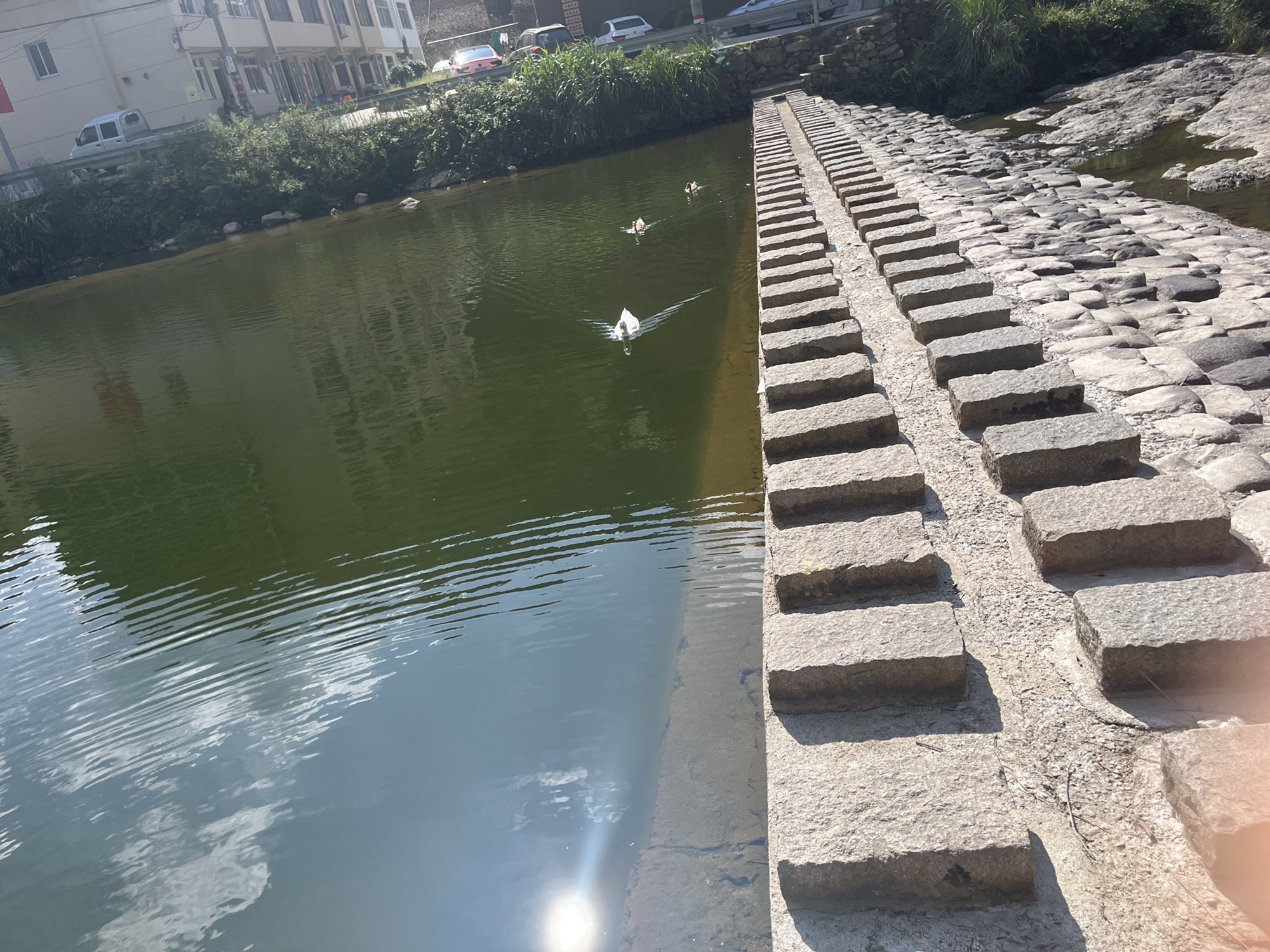 黄岩山廊桥旅行图片 1