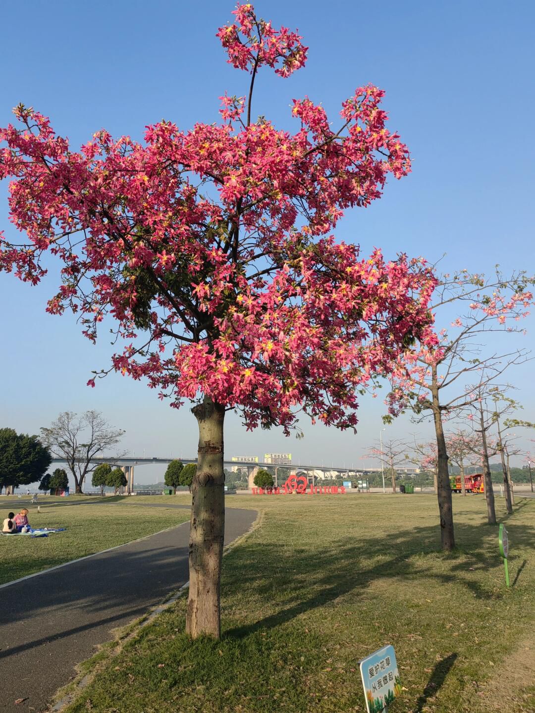 蓬江国际马拉松公园旅行图片 1