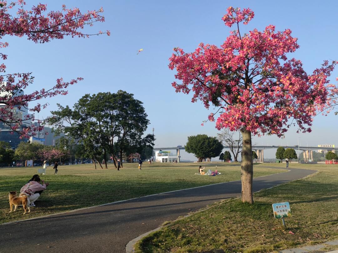 蓬江国际马拉松公园旅行图片 2