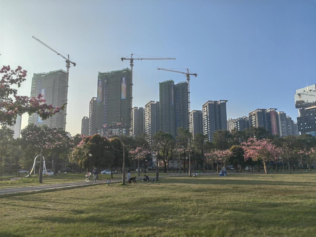 蓬江国际马拉松公园旅行图片 3