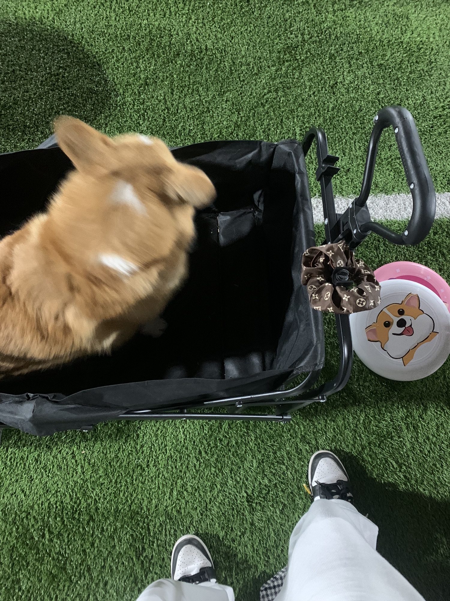 温州申顺文体主题公园旅行图片 1