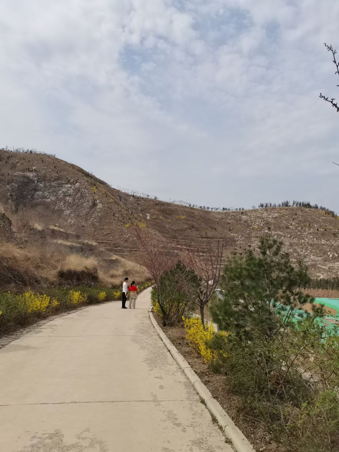 玉兰谷山体公园旅行图片 2
