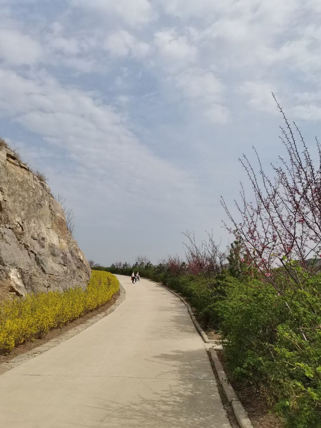 玉兰谷山体公园旅行图片 3