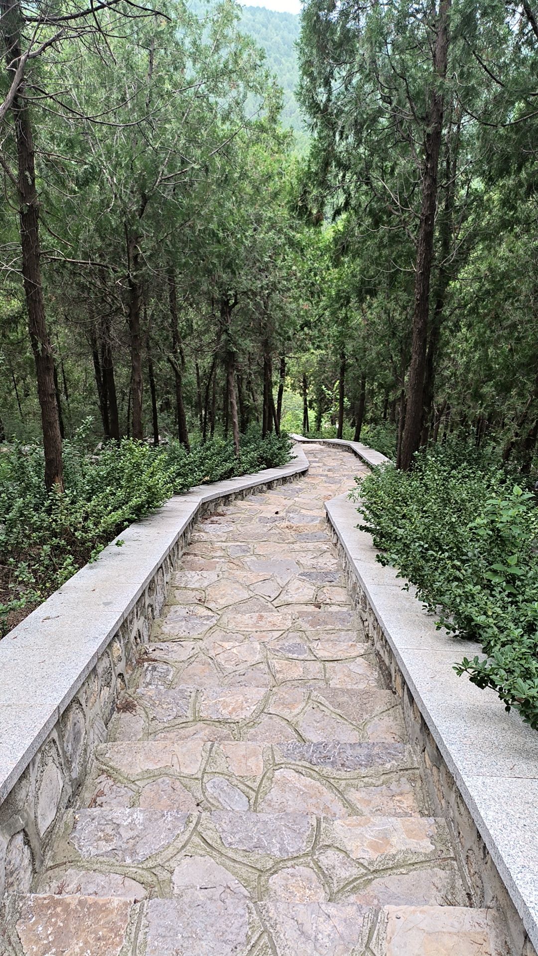 玉兰谷山体公园旅行图片 1