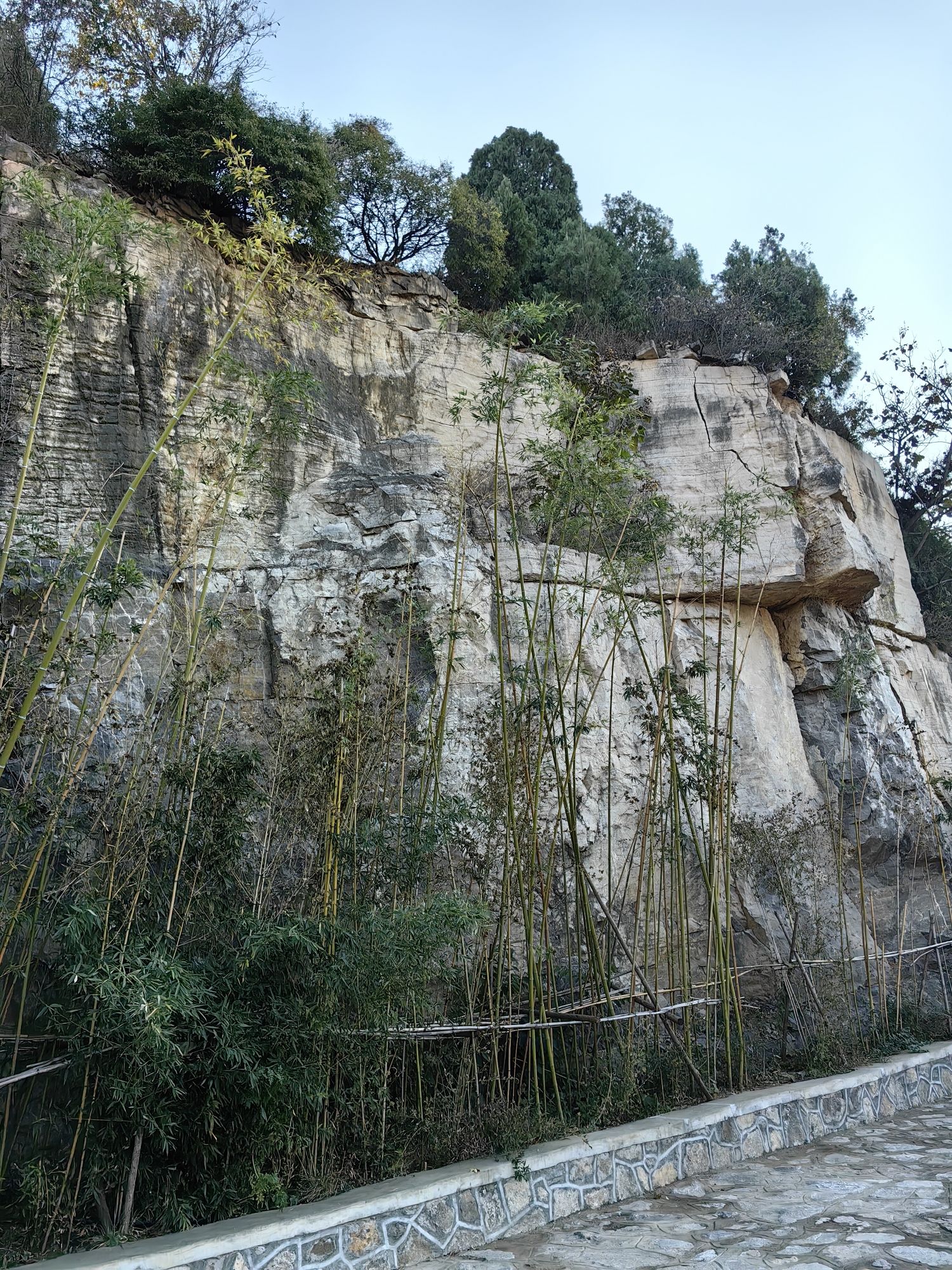 玉兰谷山体公园旅行图片 3