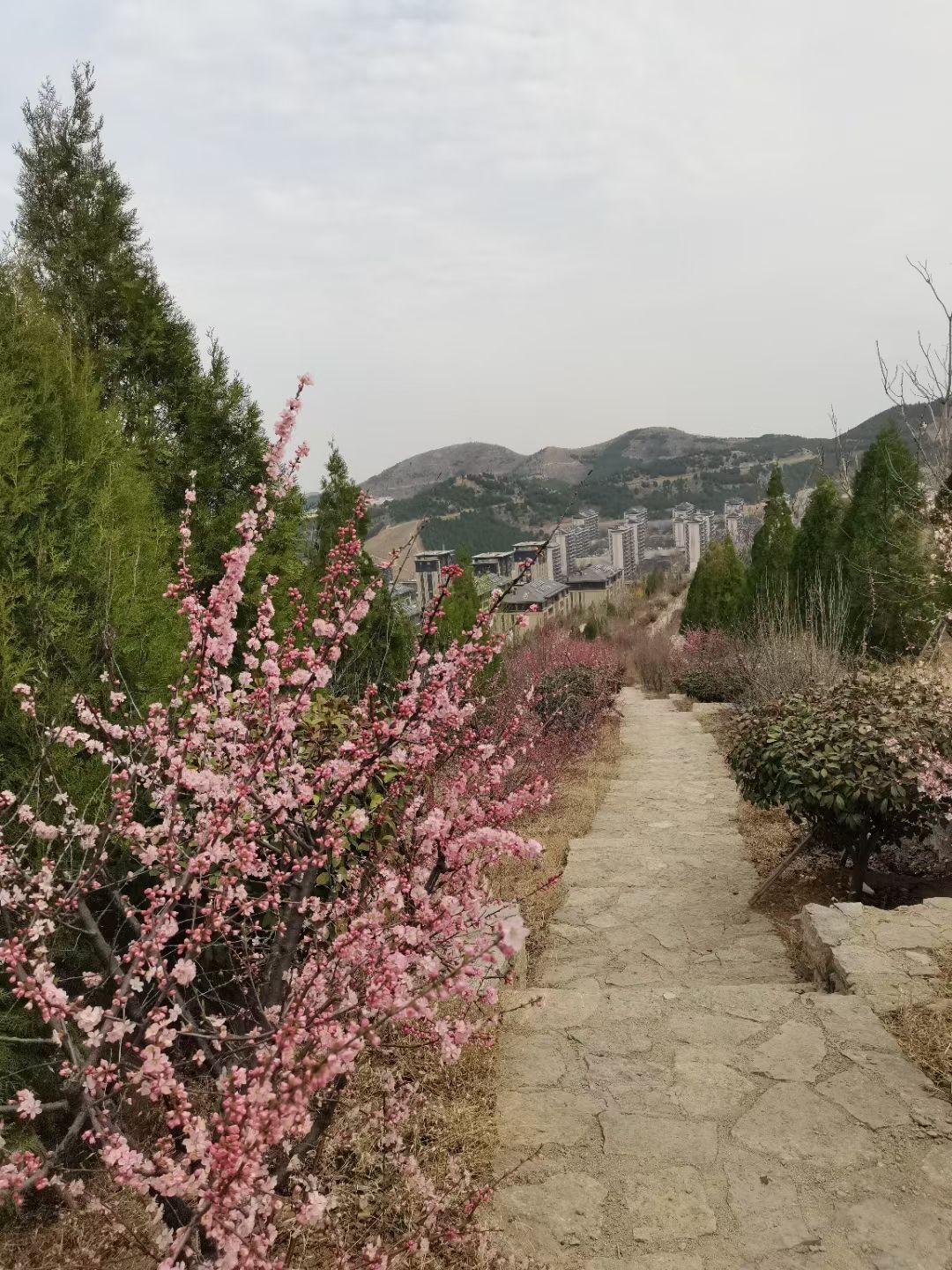 玉兰谷山体公园旅行图片 1