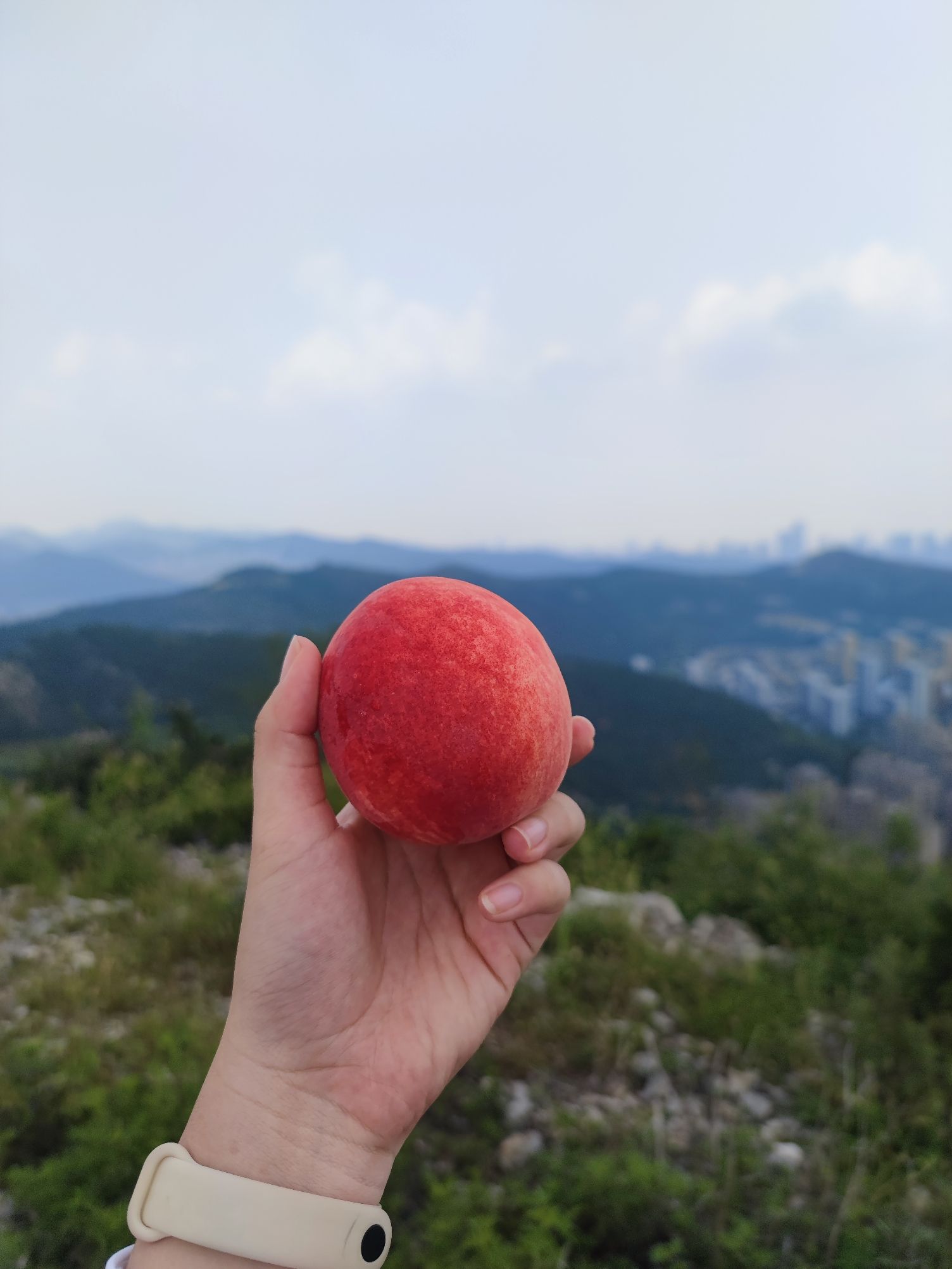 玉兰谷山体公园旅行图片 1