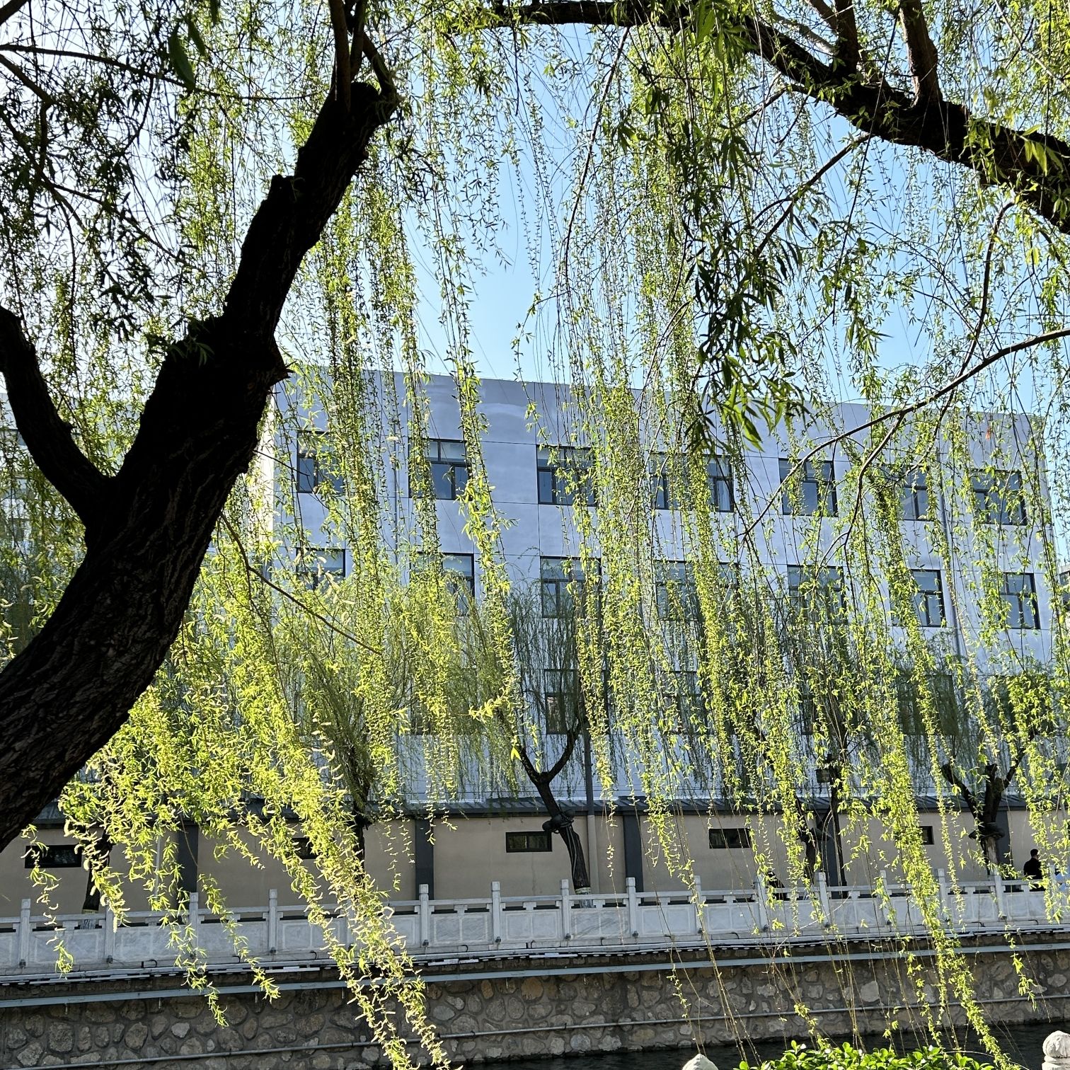 裕园公园旅行图片 2