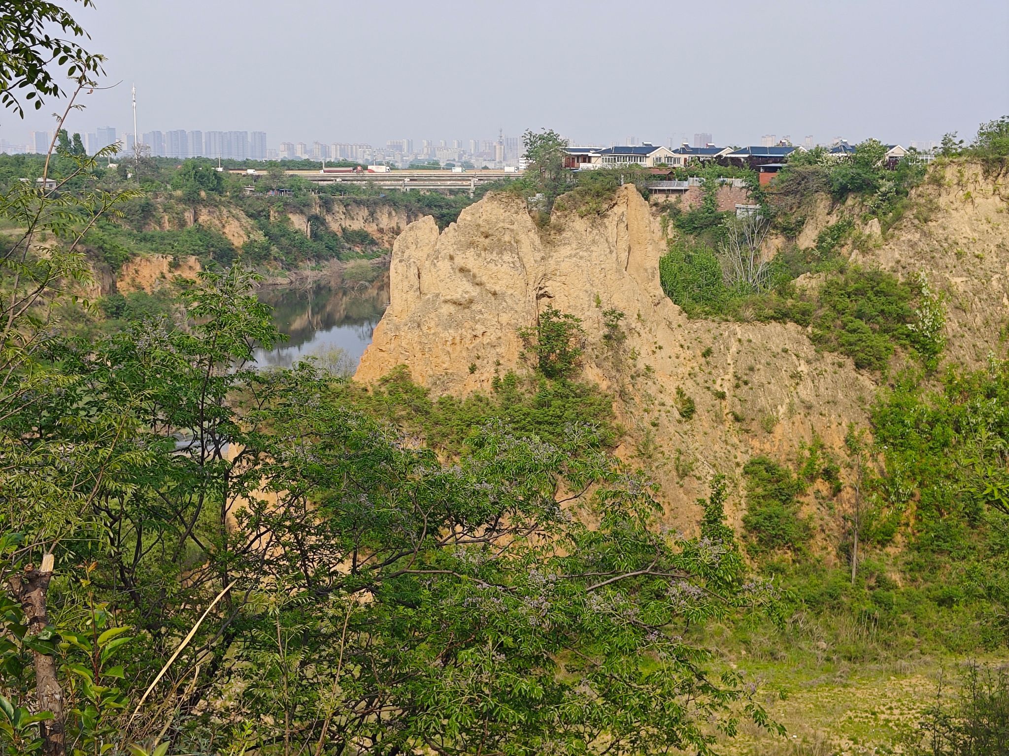桃花源森林公园旅行图片 1