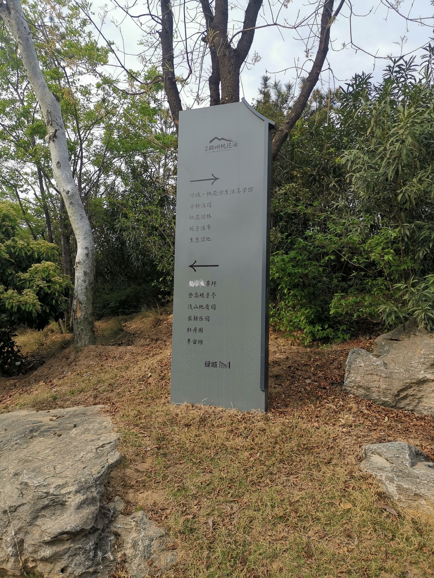 桃花源森林公园旅行图片 2