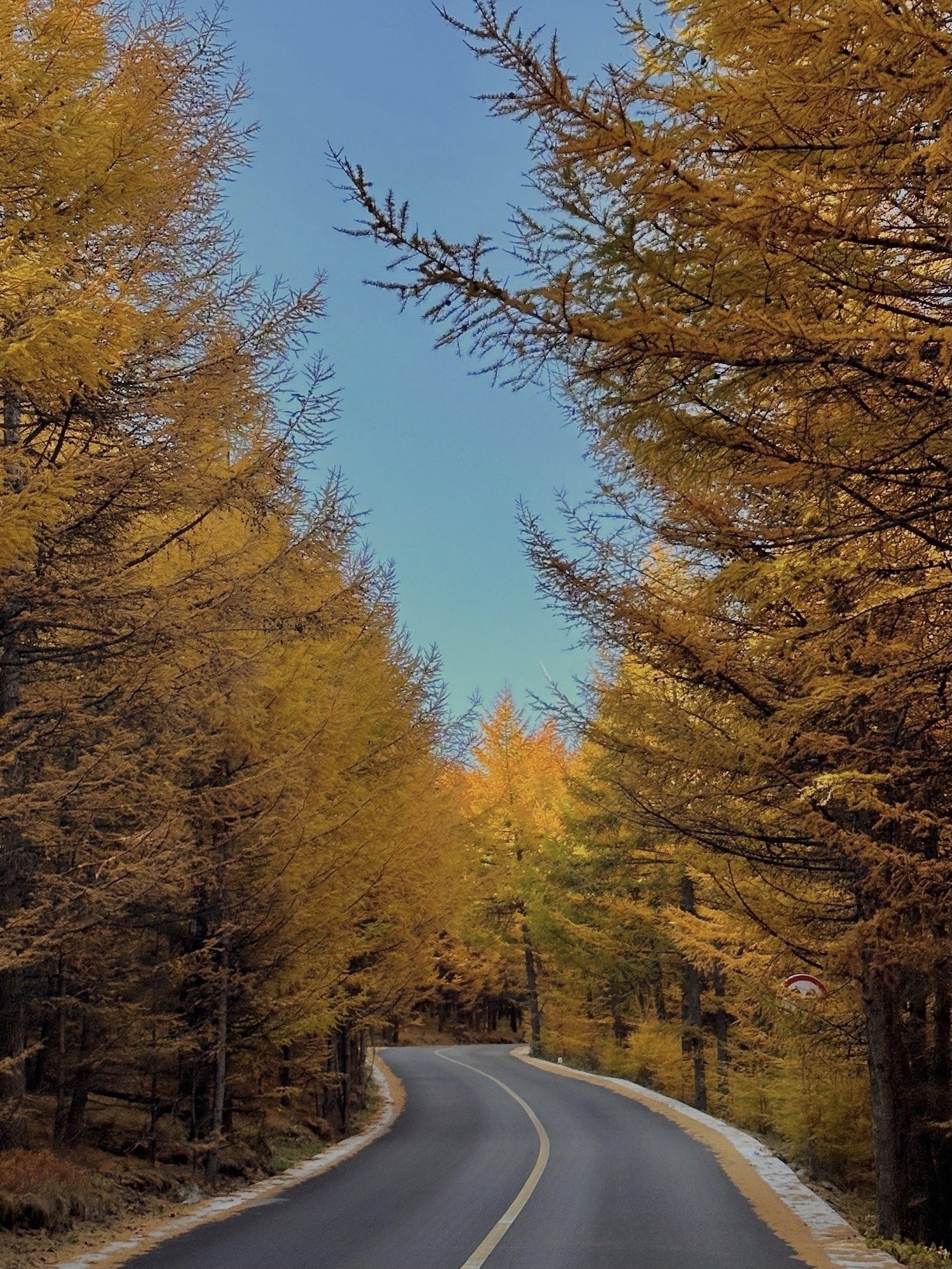 草原天路东线旅行图片 3