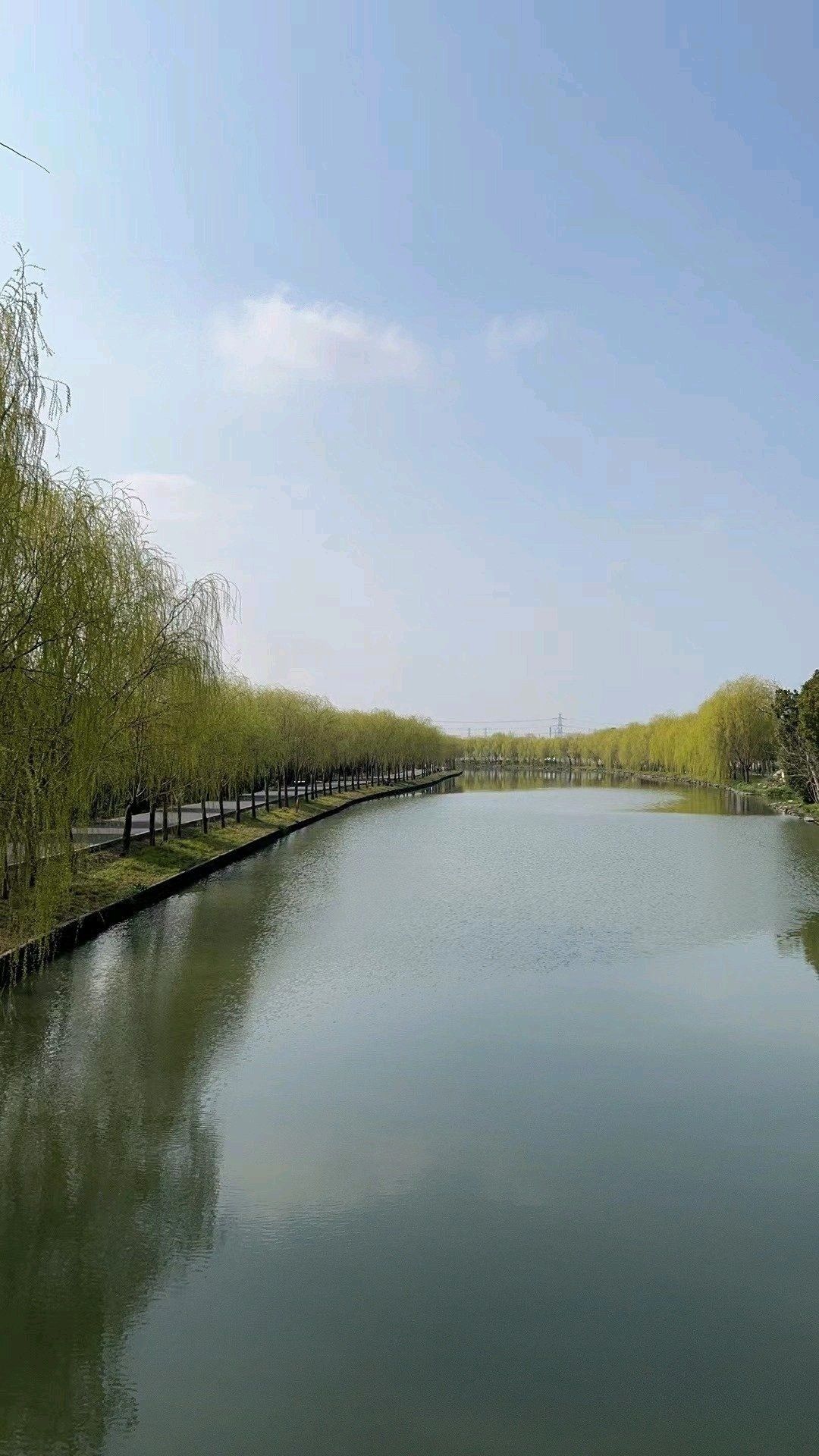 帐篷搭建点郊野公园