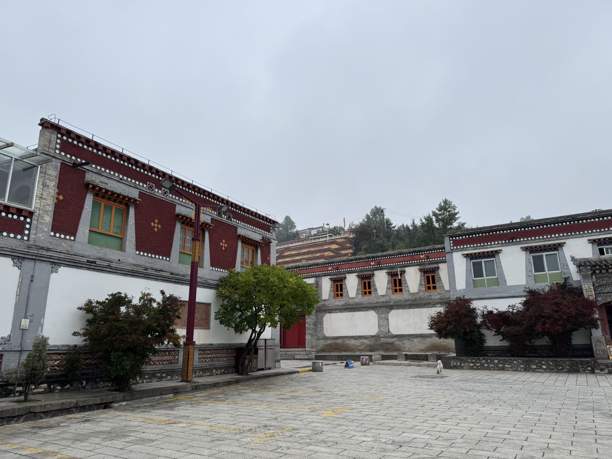 塔尔寺 景点照片