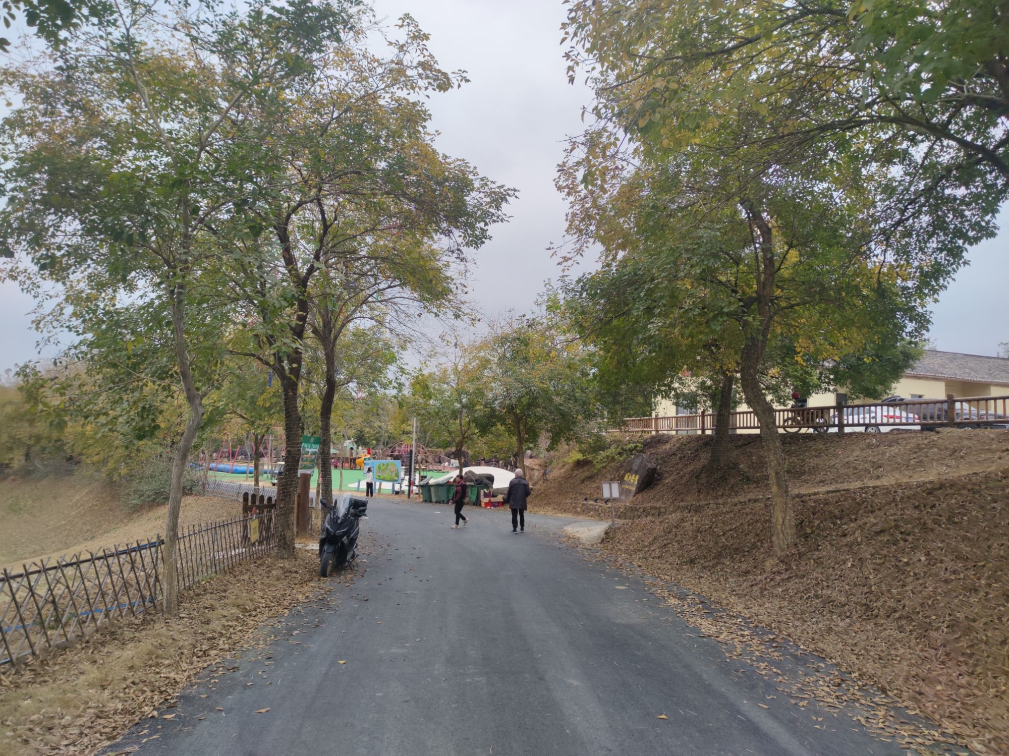 盛花谷旅行图片 1