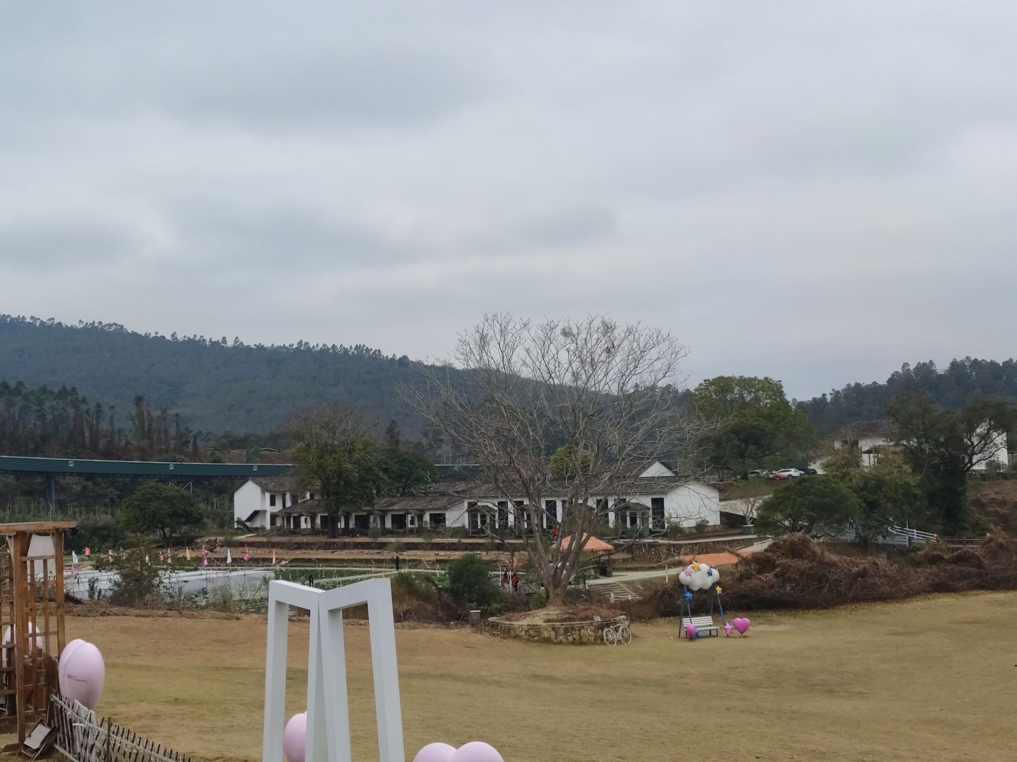 盛花谷旅行图片 2