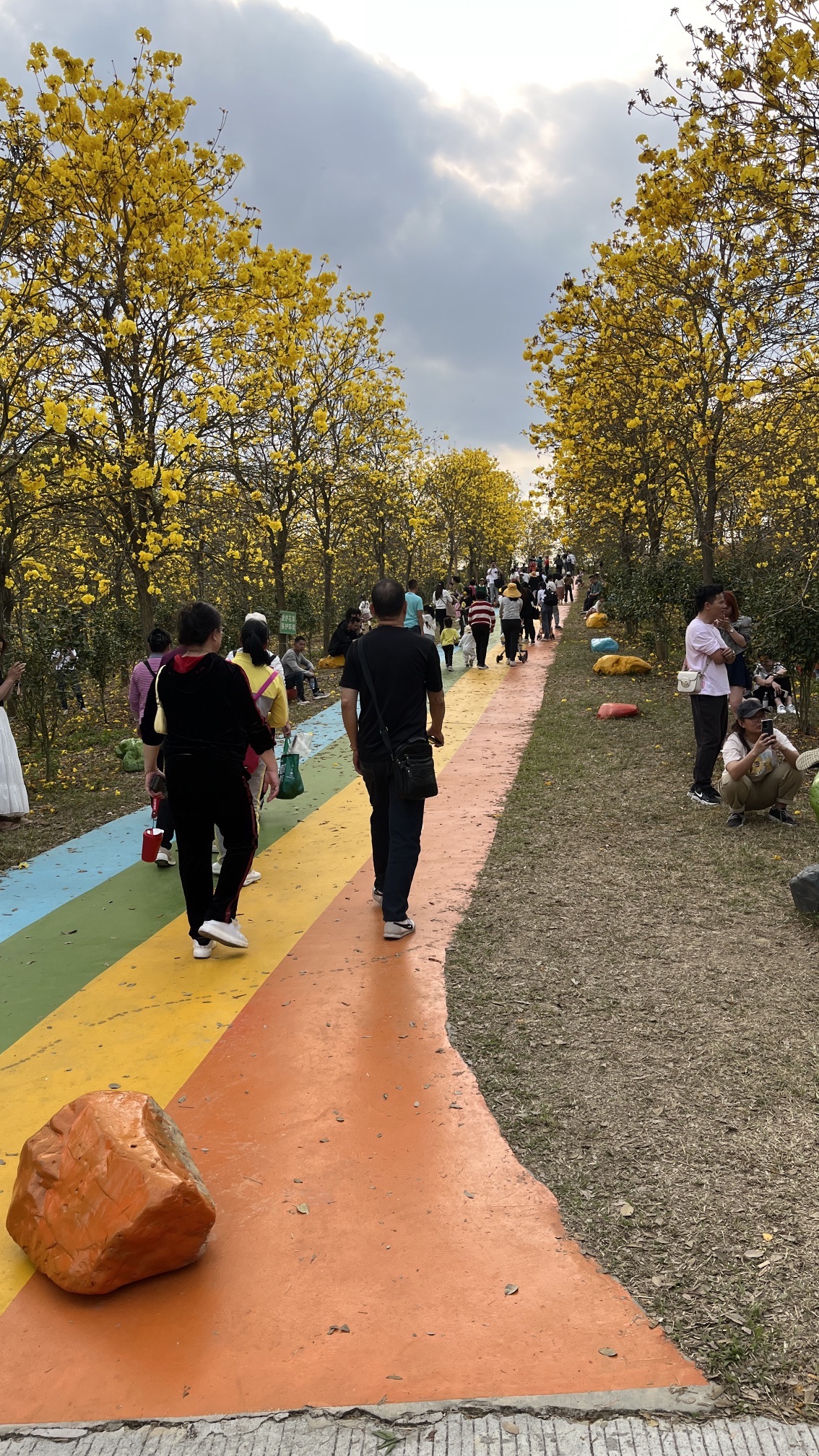 盛花谷旅行图片 2