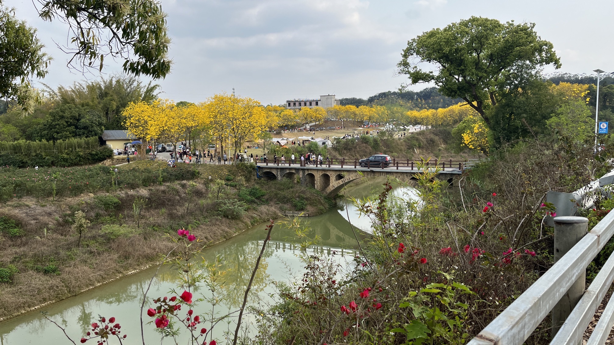 盛花谷旅行图片 3