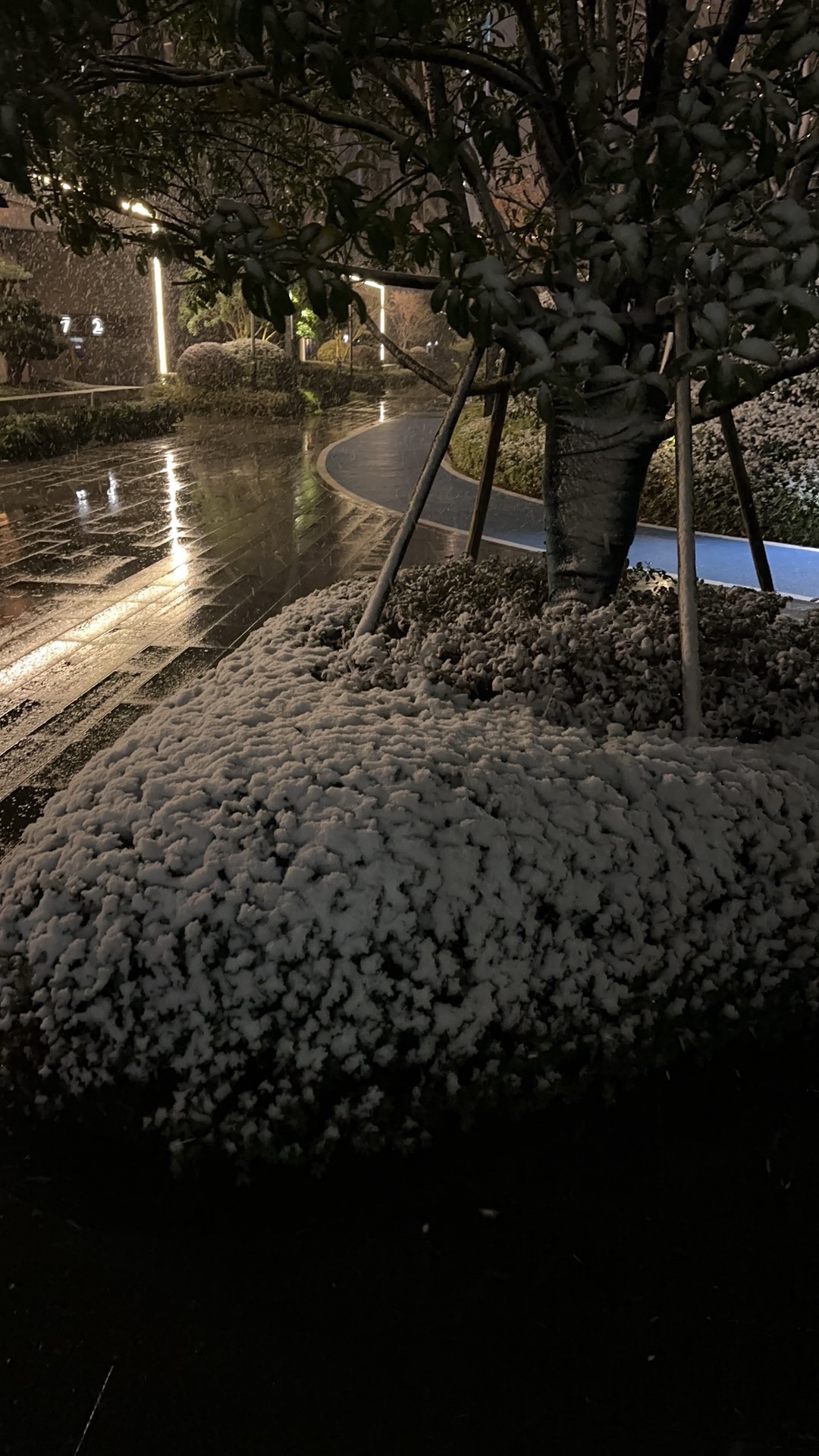 桃花岛公园旅行图片 3