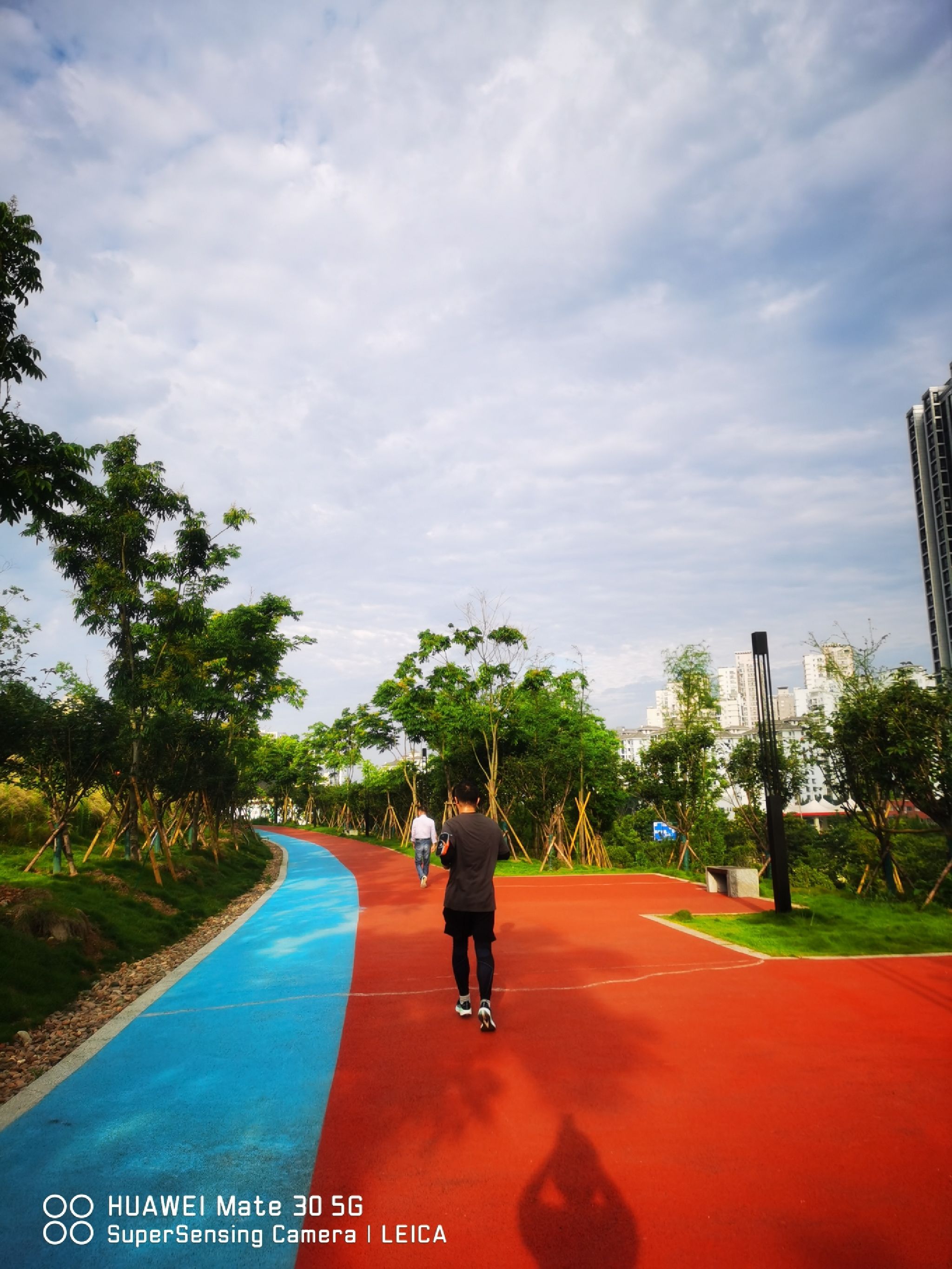 桃花岛公园旅行图片 2