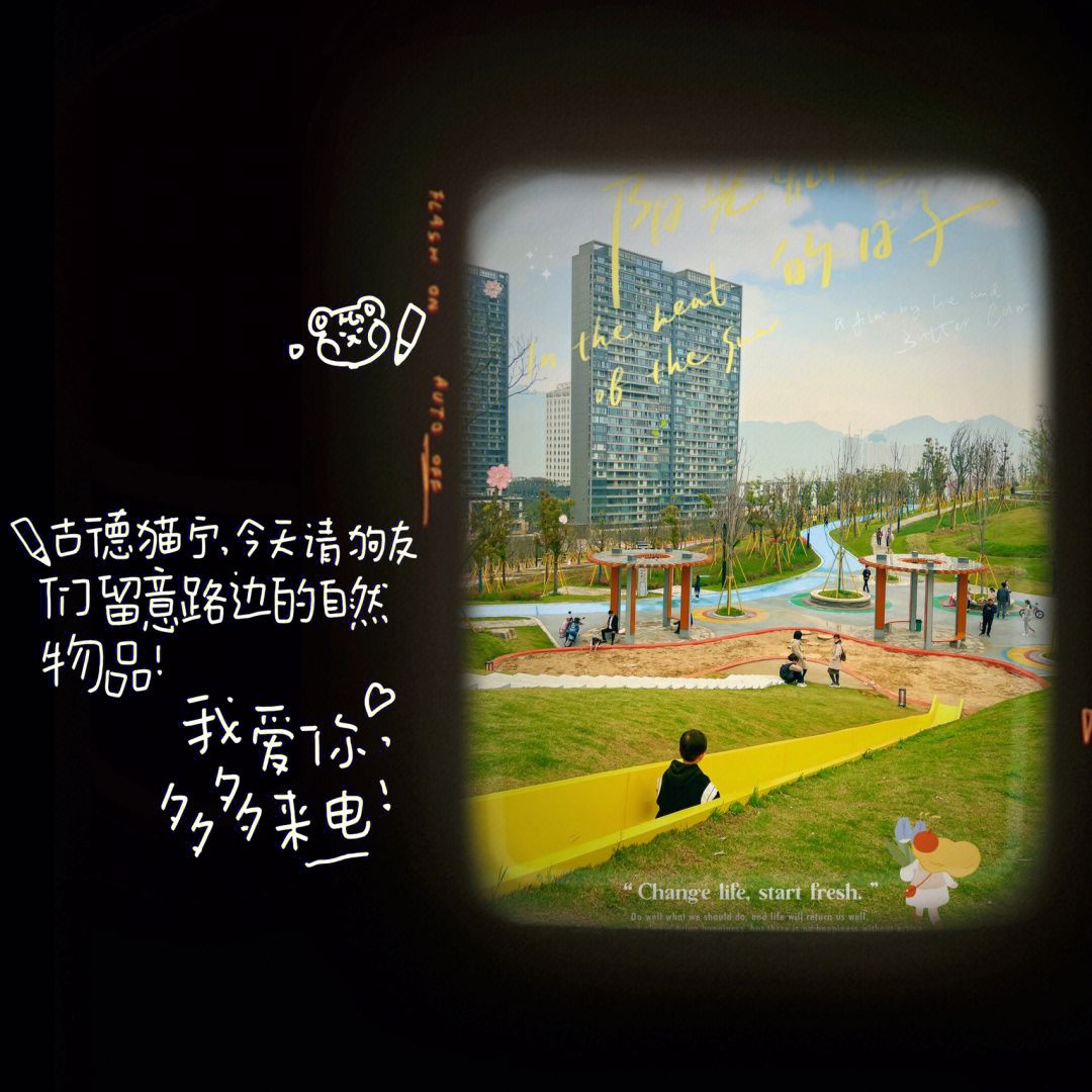 桃花岛公园旅行图片 1