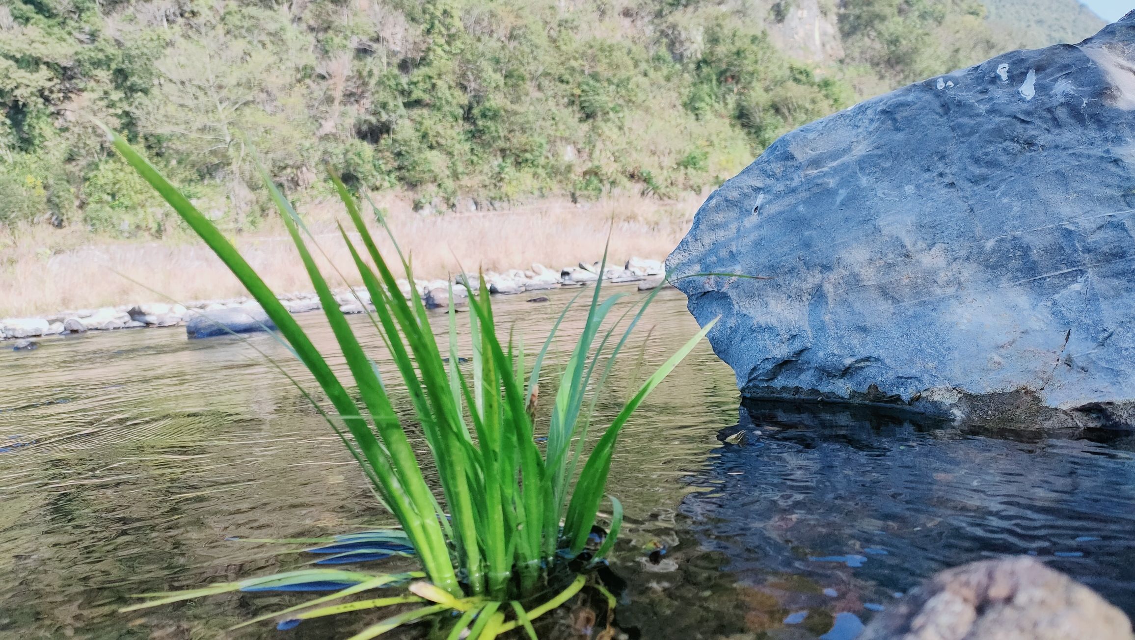 湖南宁远九嶷河国家湿地公园旅行图片 1