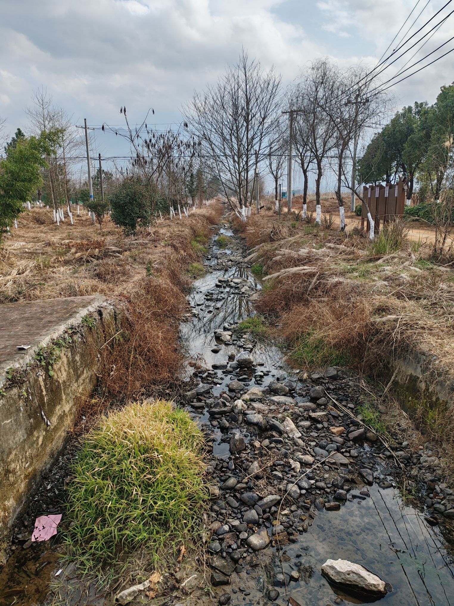 湖南宁远九嶷河国家湿地公园旅行图片 3