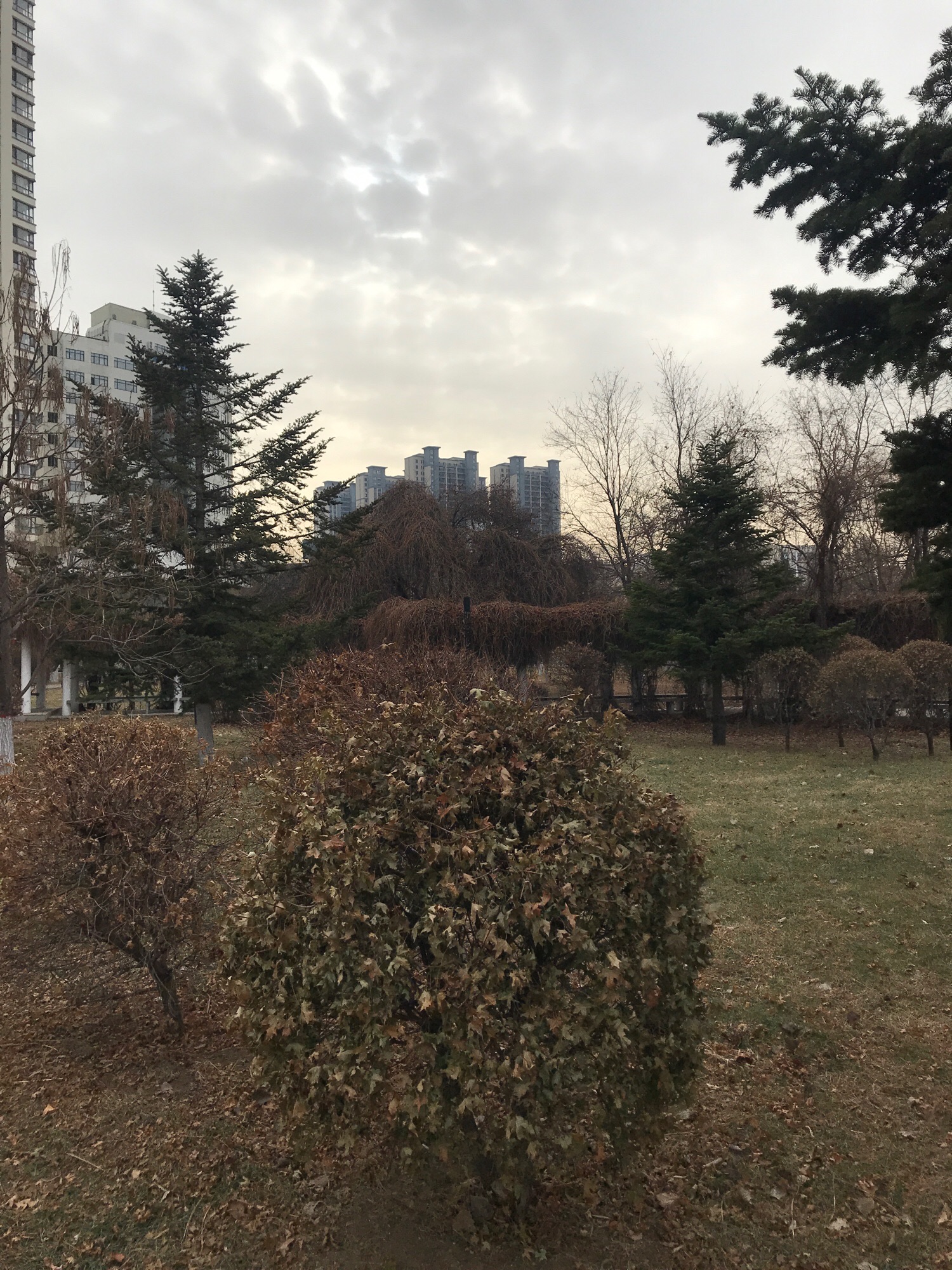 中关村公园旅行图片 1