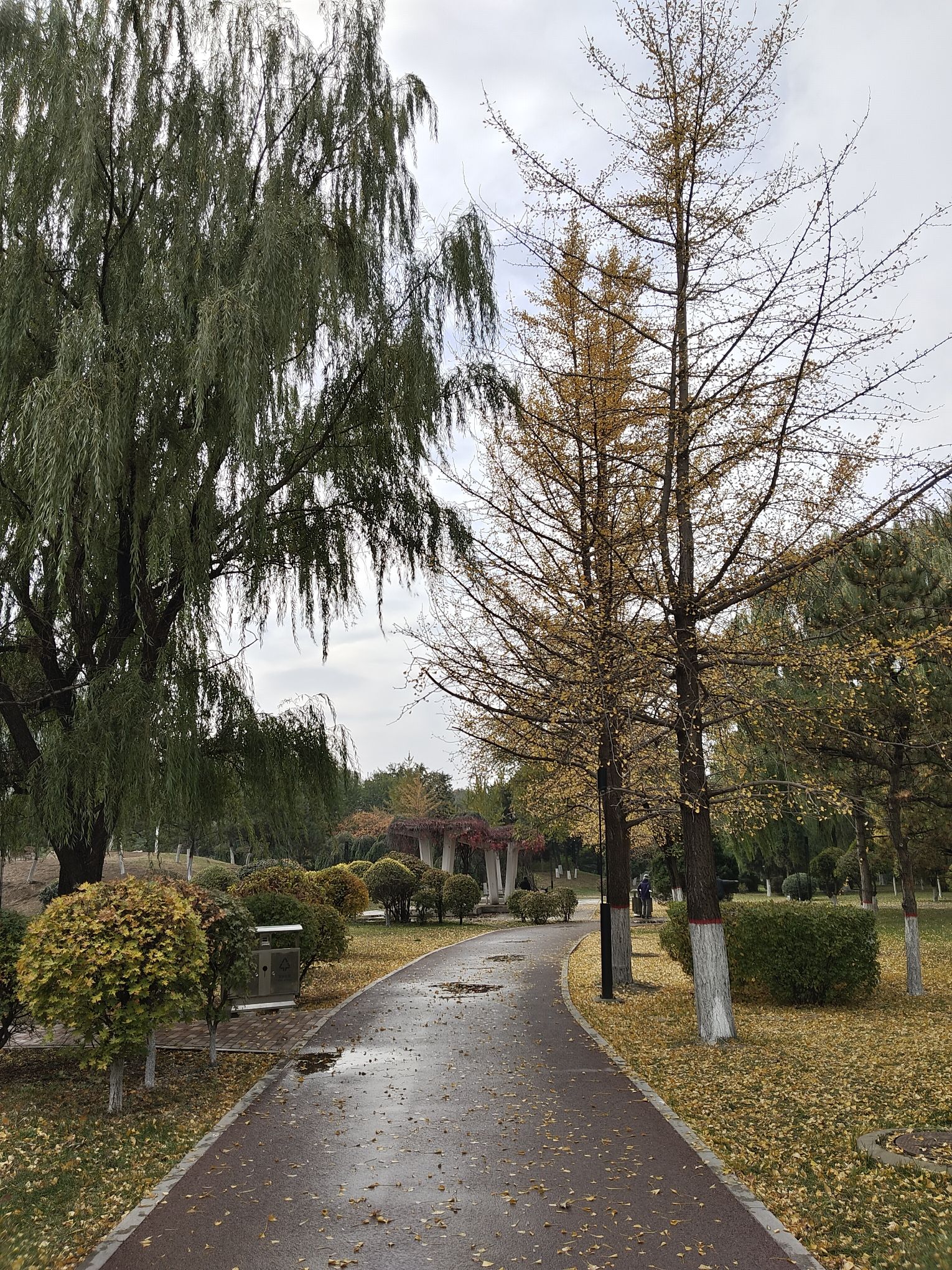 中关村公园旅行图片 3