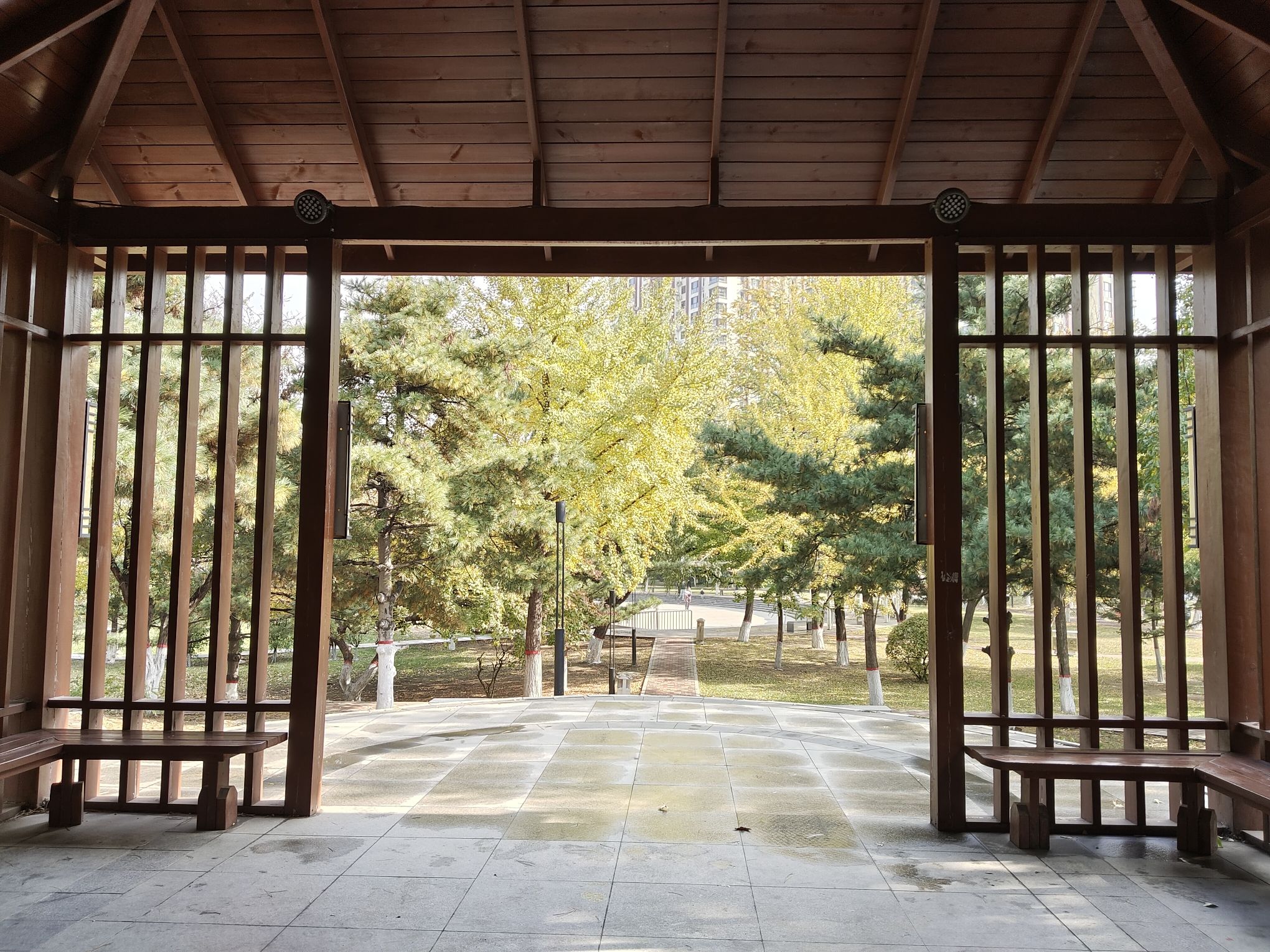 中关村公园旅行图片 2