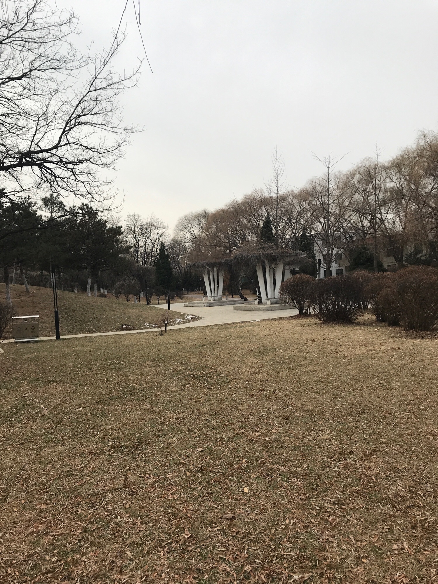 中关村公园旅行图片 3