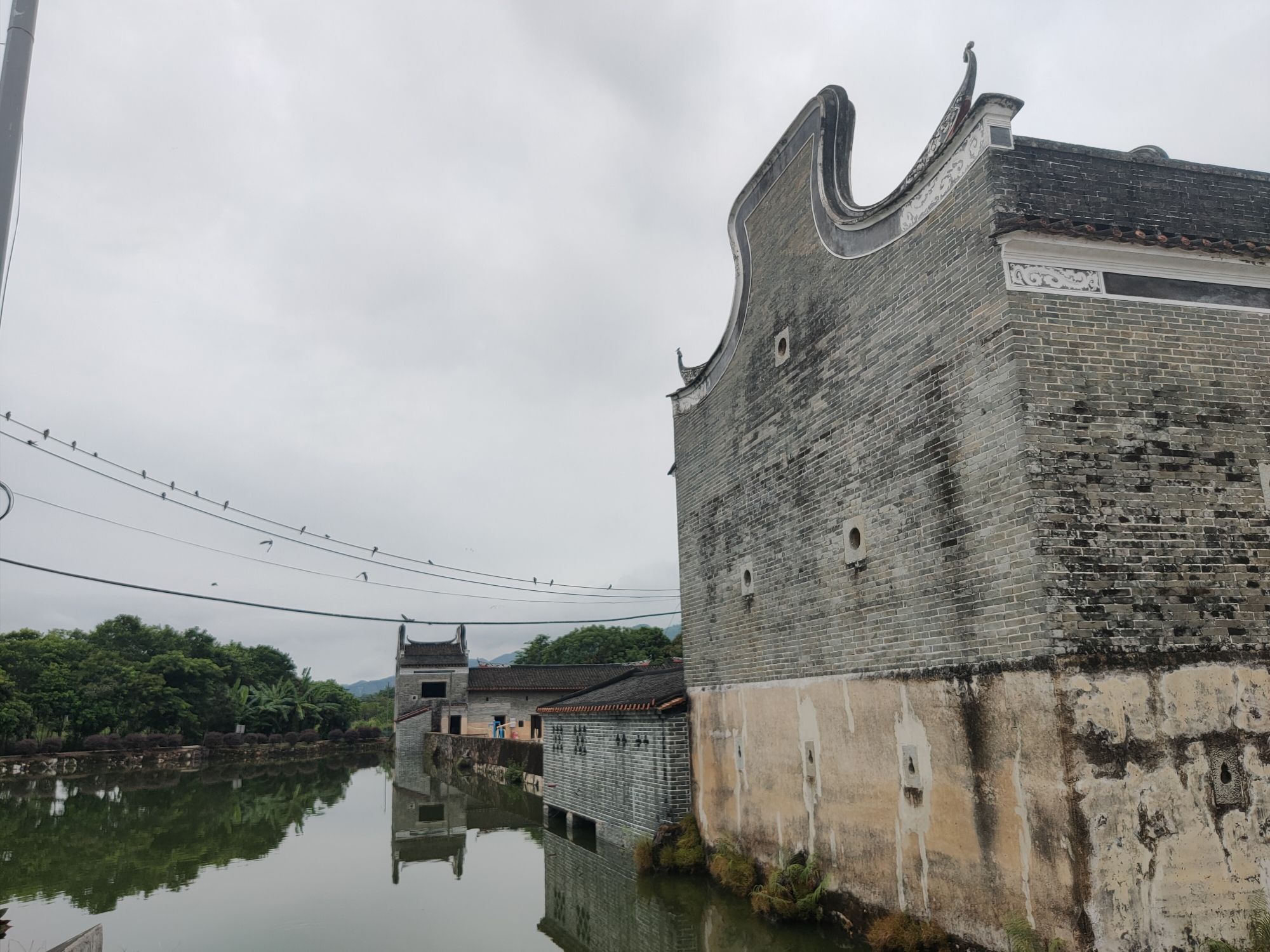 龙门鹤湖围旅行图片 3