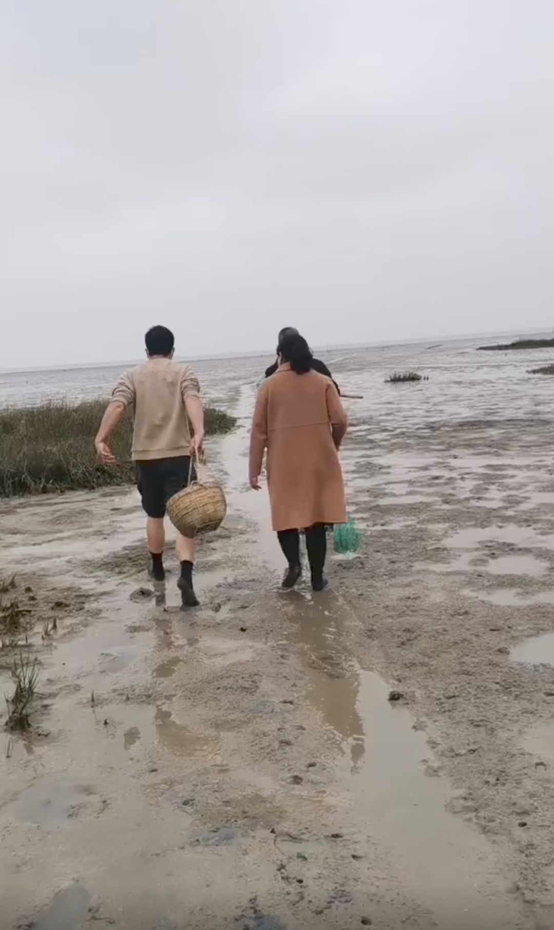 美人鱼古郡旅行图片 1
