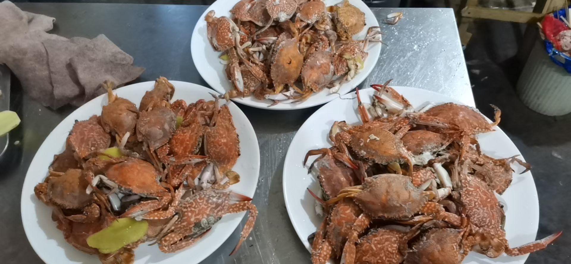 美人鱼古郡旅行图片 3