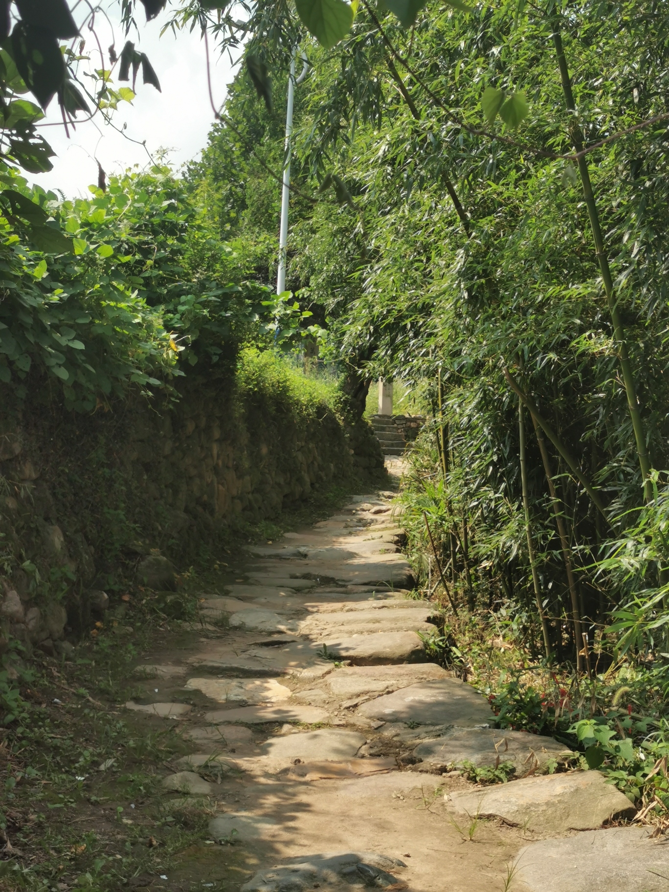 西河古村落景区旅行图片 2