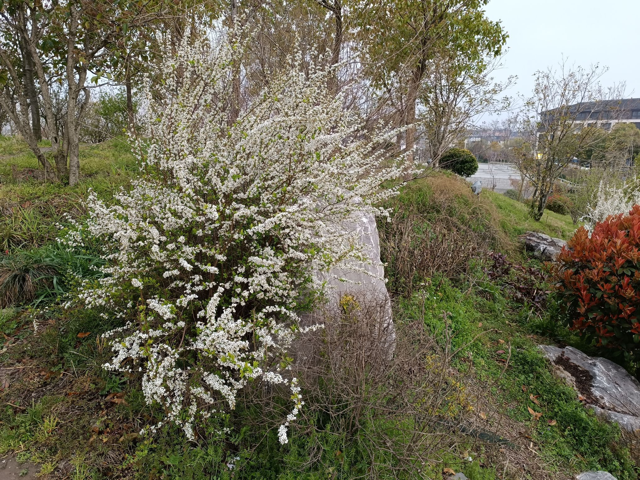 七里河公园旅行图片 3