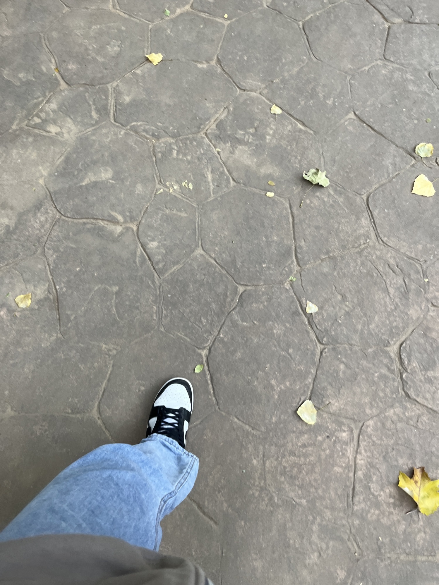 燕山立交低线公园旅行图片 3