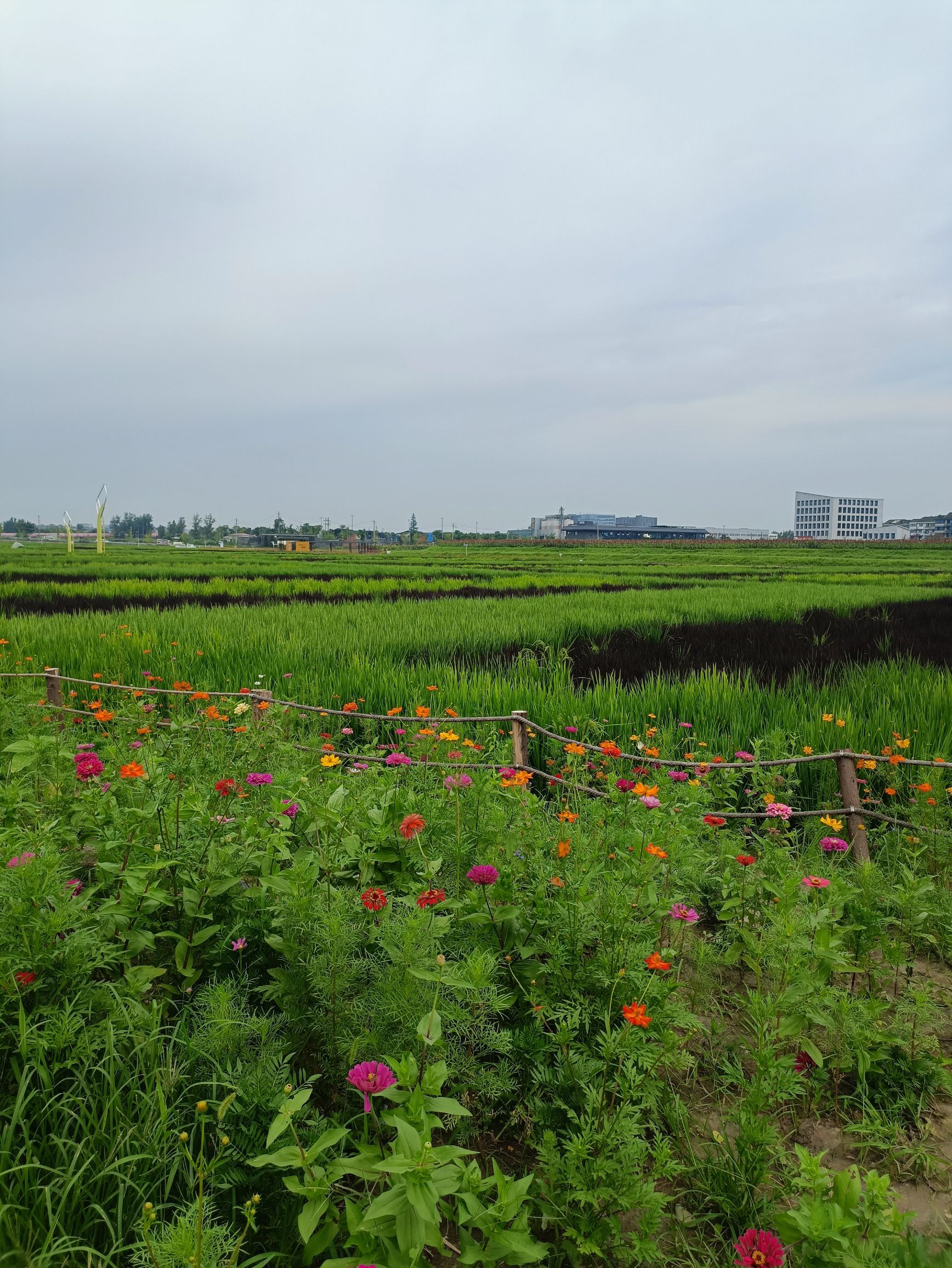 隅上田园交子百业园旅行图片 1