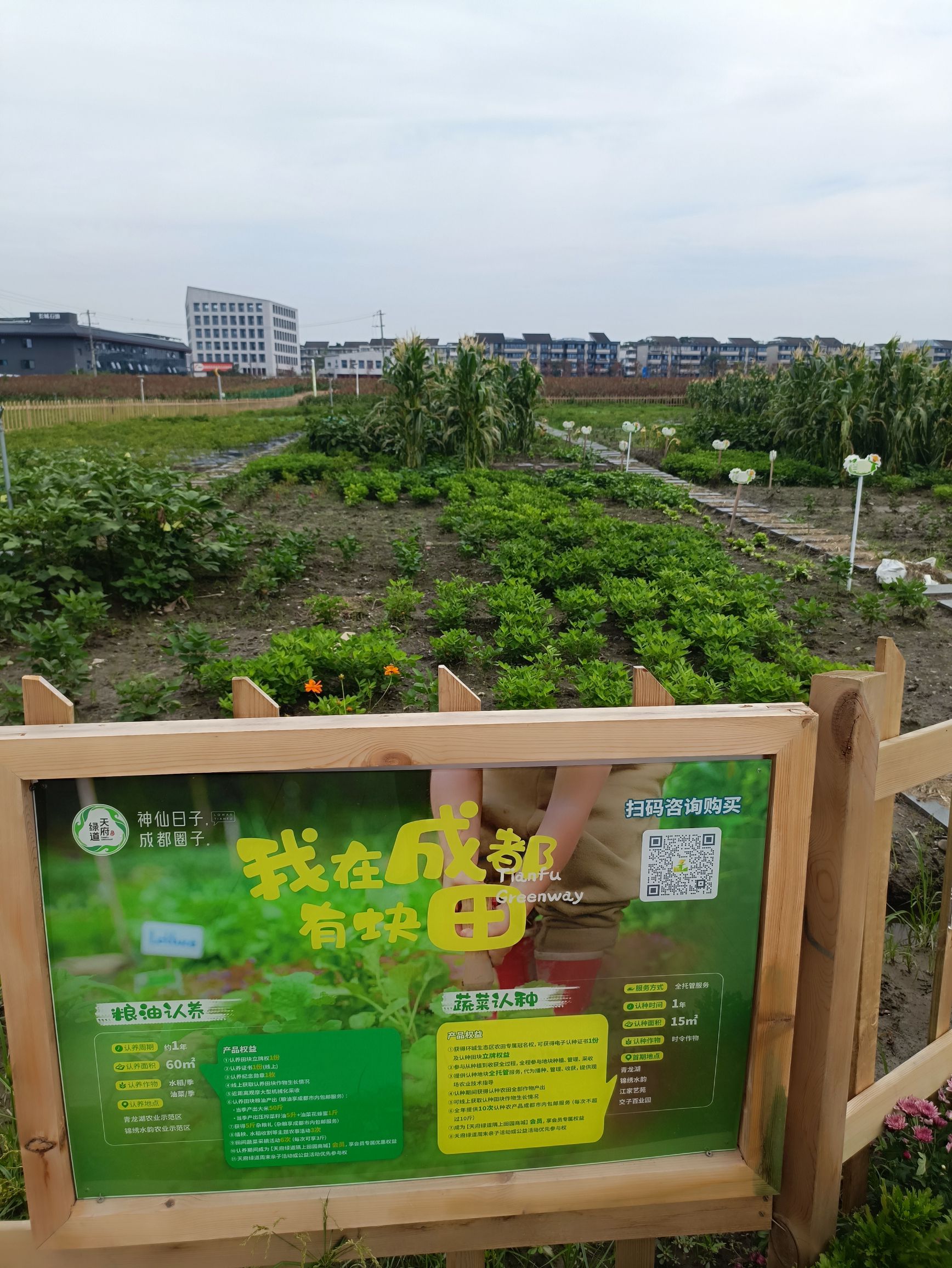 隅上田园交子百业园旅行图片 3