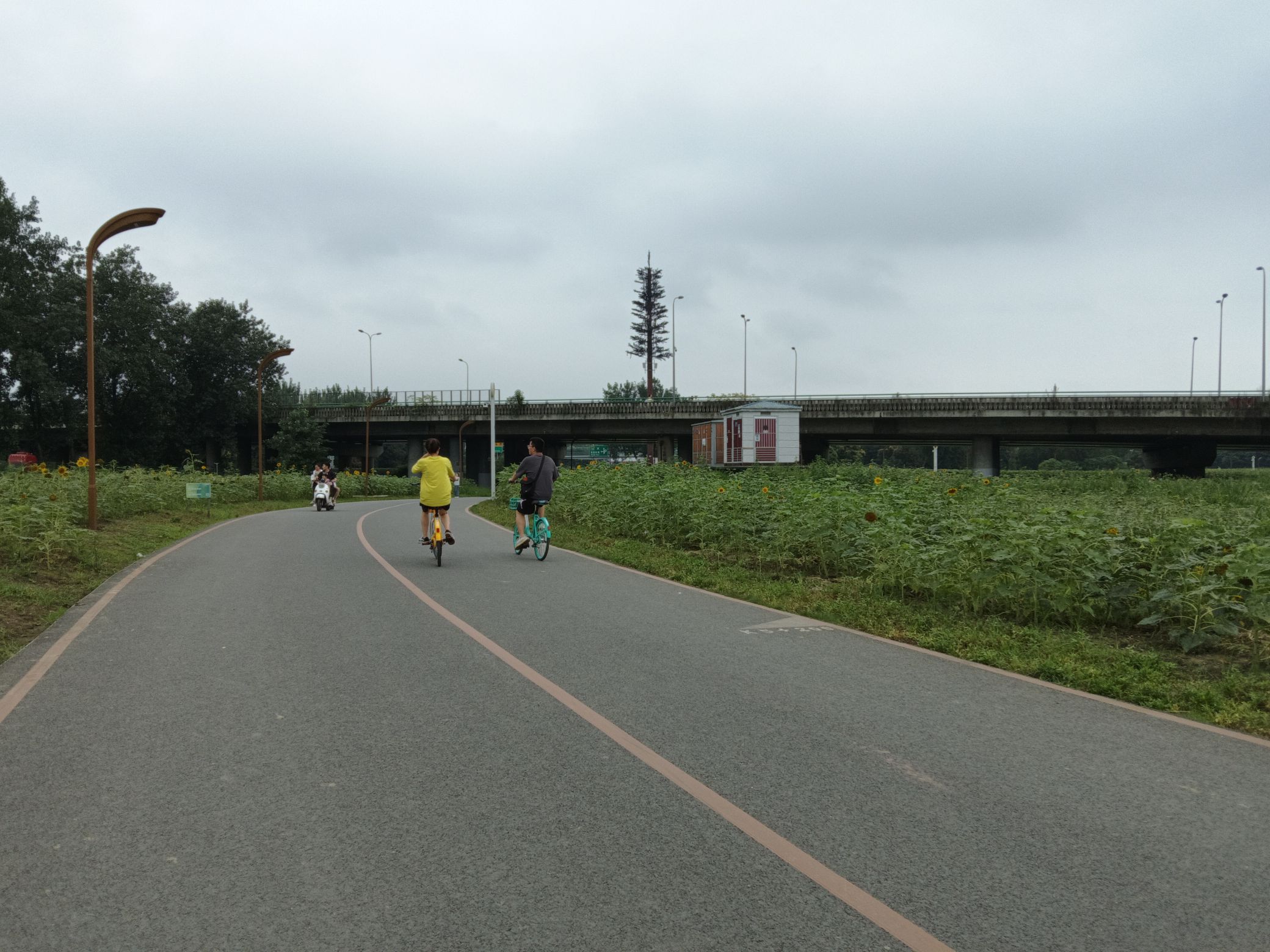 隅上田园交子百业园旅行图片 2