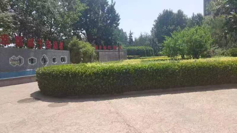 桥西区劳动公园旅行图片 2