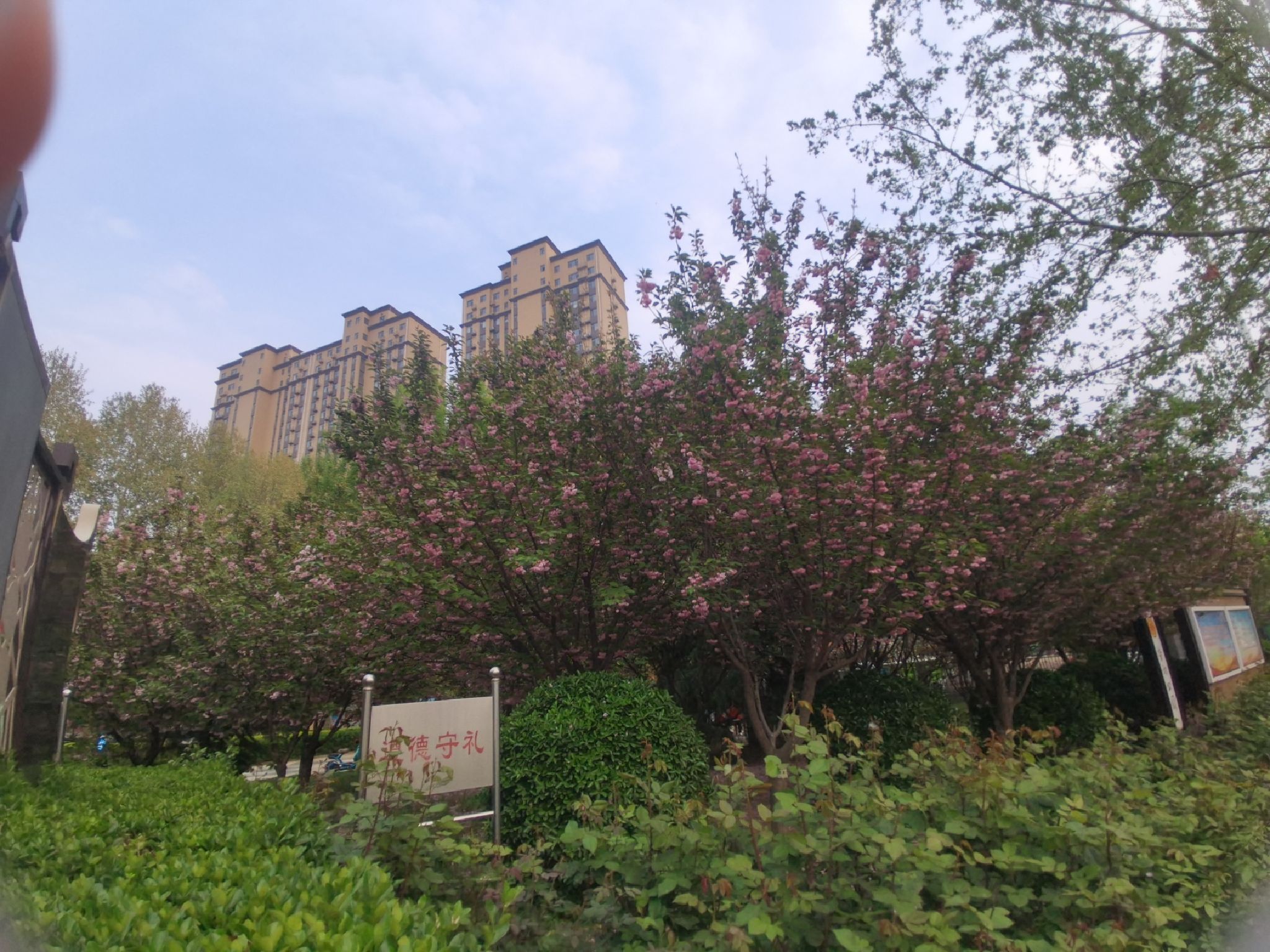 桥西区劳动公园旅行图片 1
