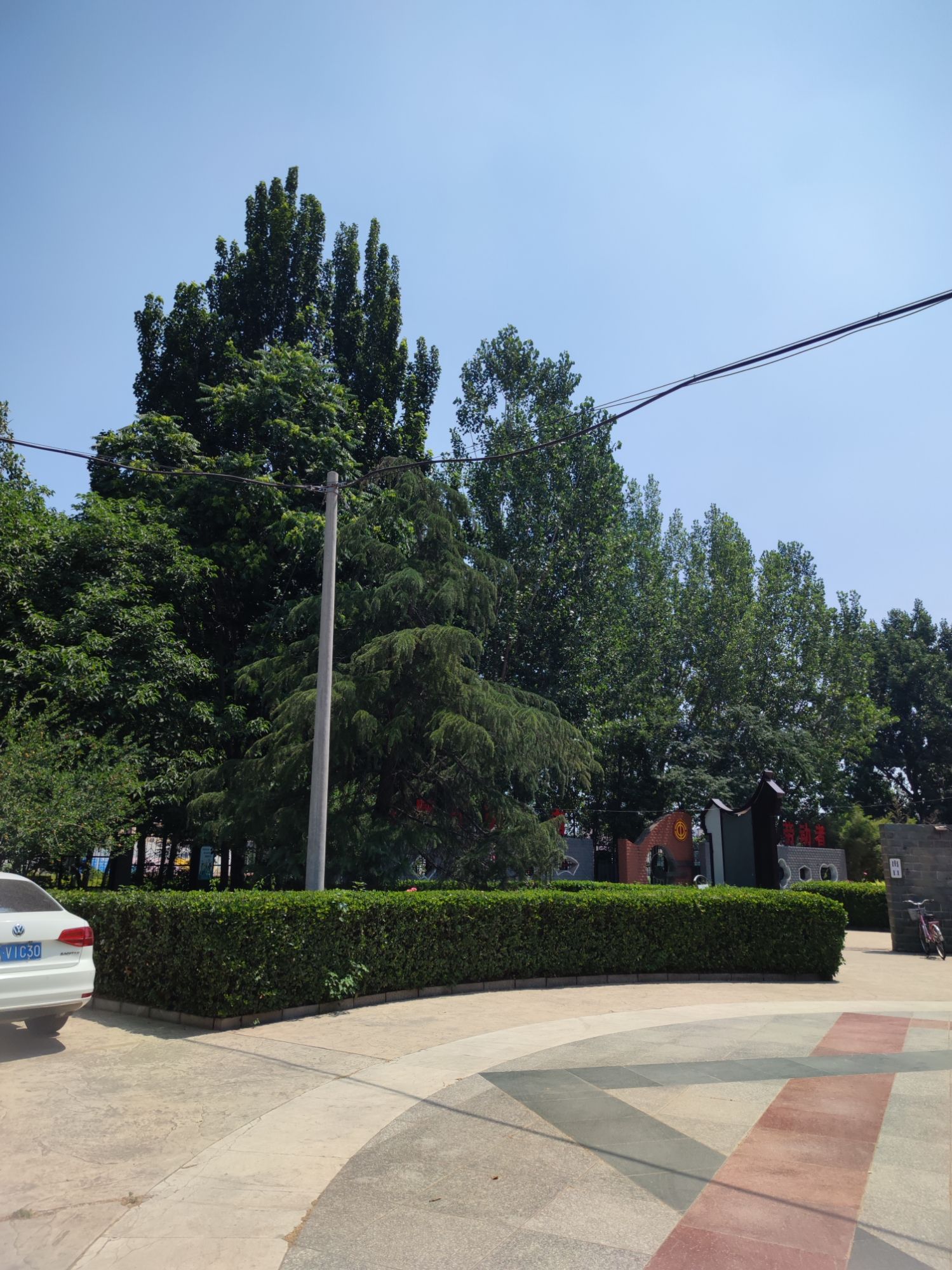 桥西区劳动公园旅行图片 3