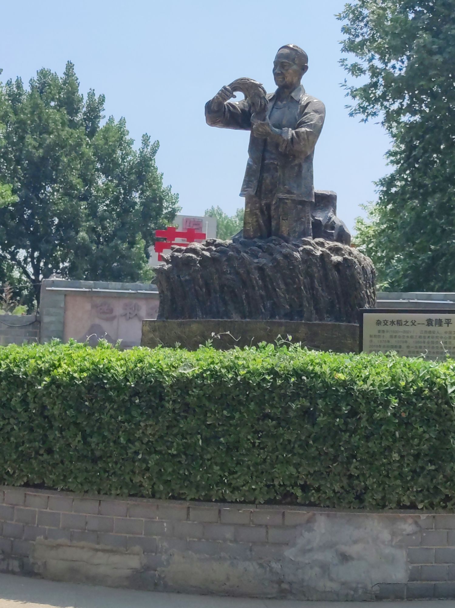 桥西区劳动公园旅行图片 2