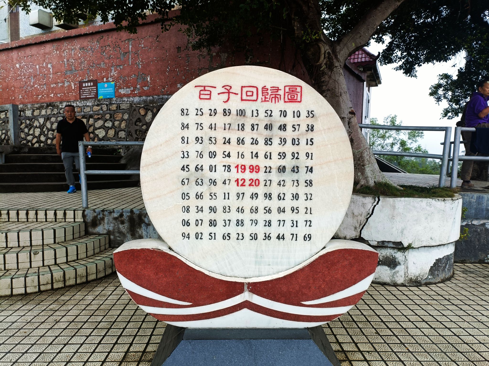 板樟山景观栈道旅行图片 3