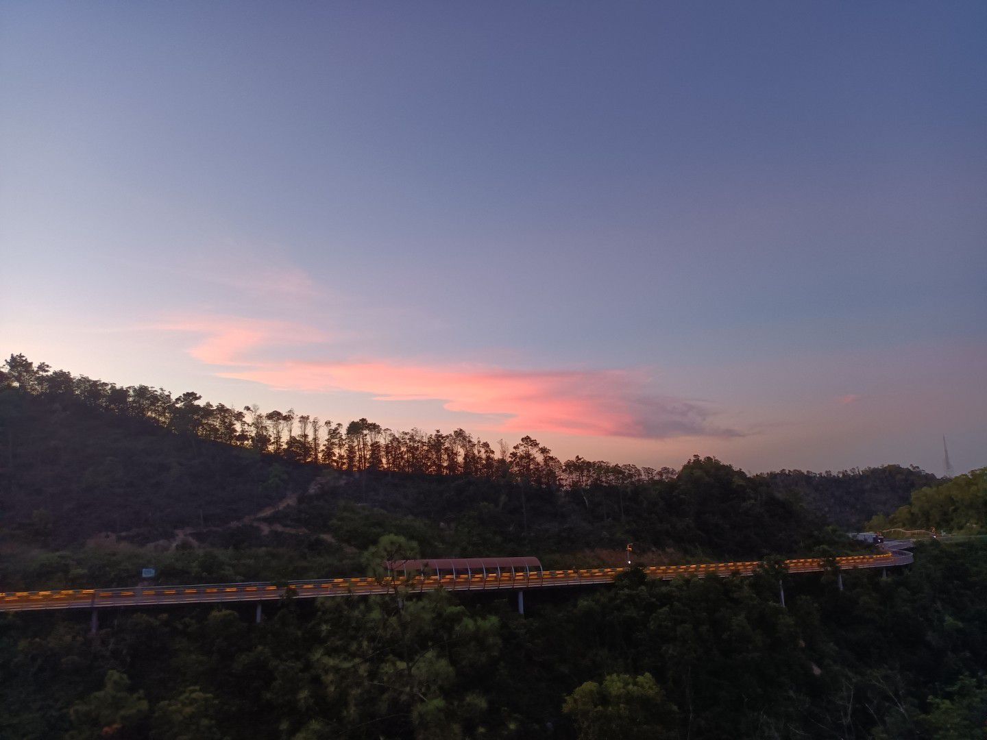 板樟山景观栈道旅行图片 2