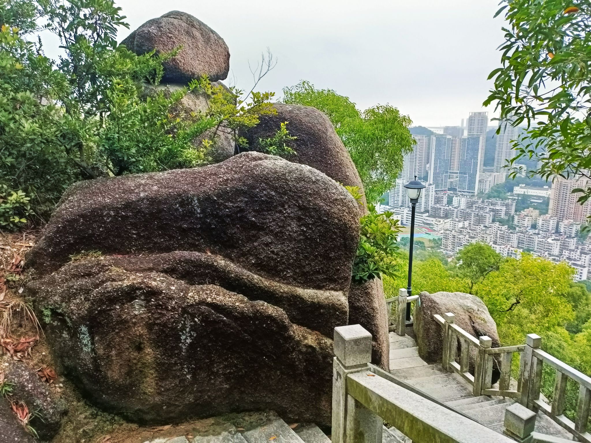 板樟山景观栈道旅行图片 2