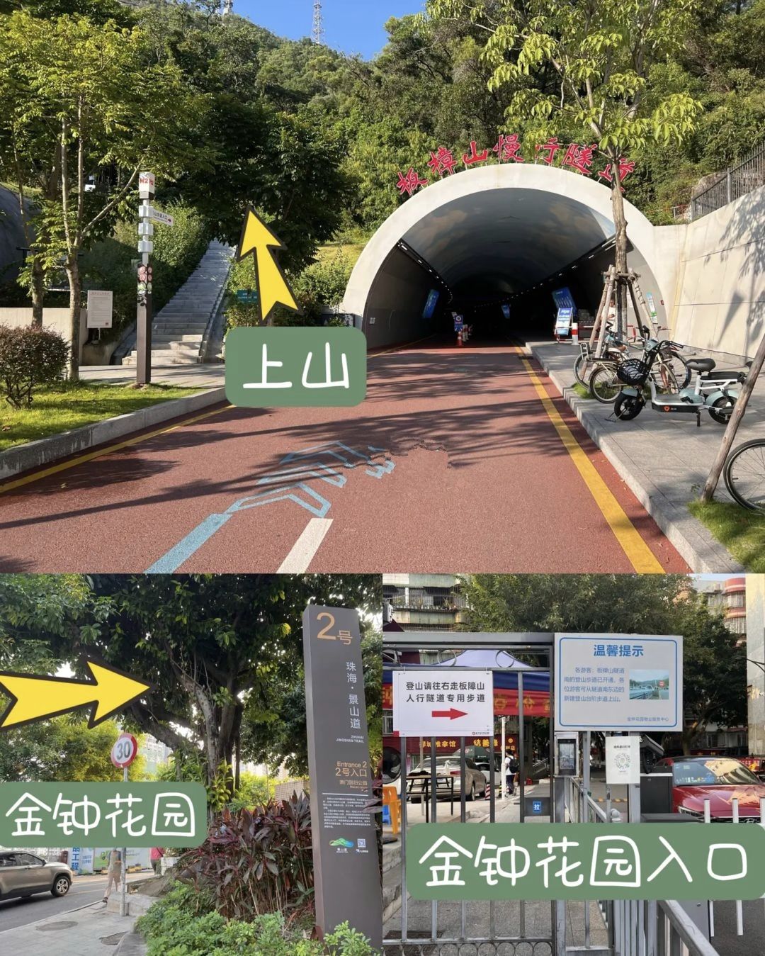 板樟山景观栈道旅行图片 3